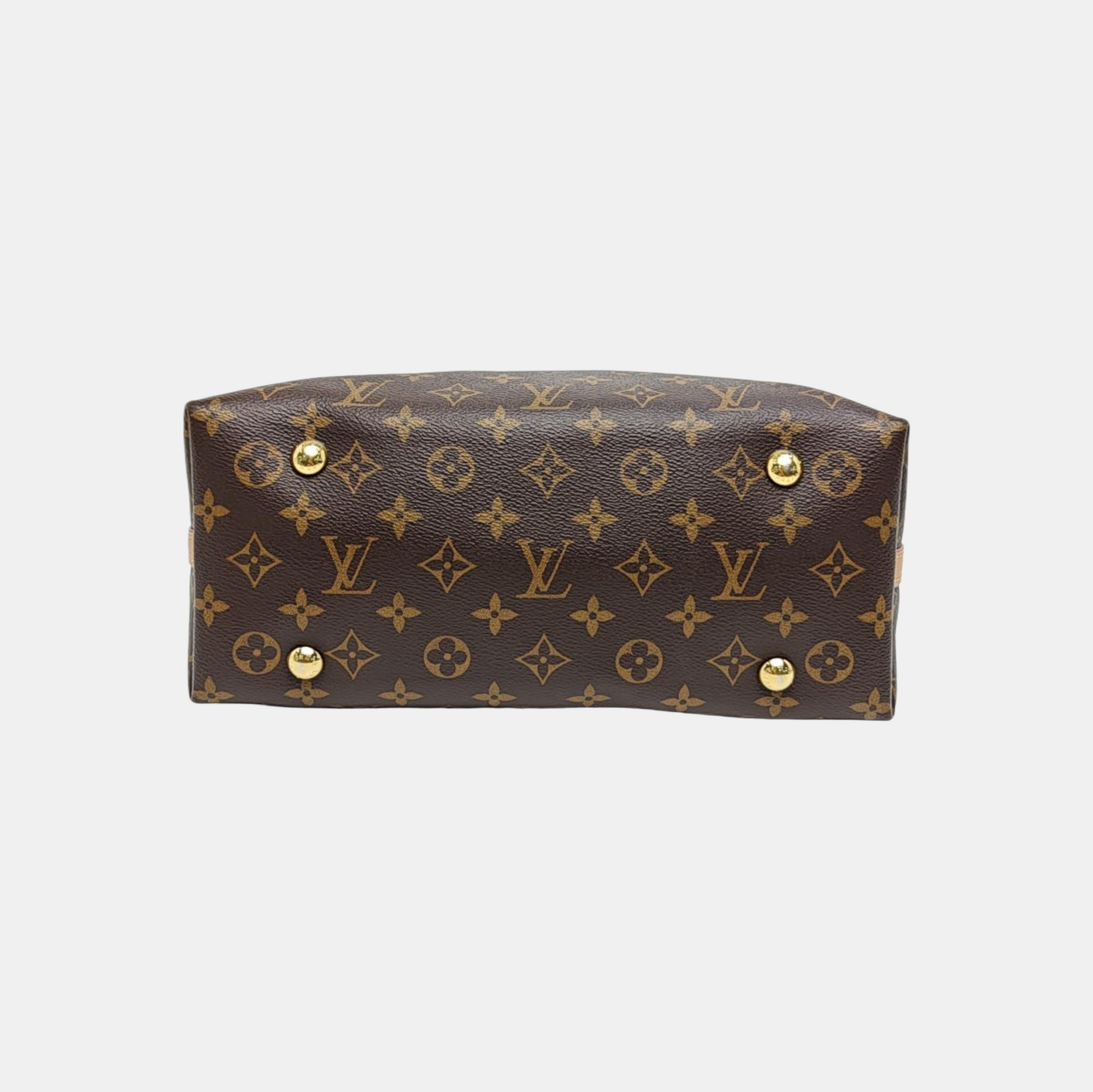 CARRYALL PM Monogram Coated Canvas Brown