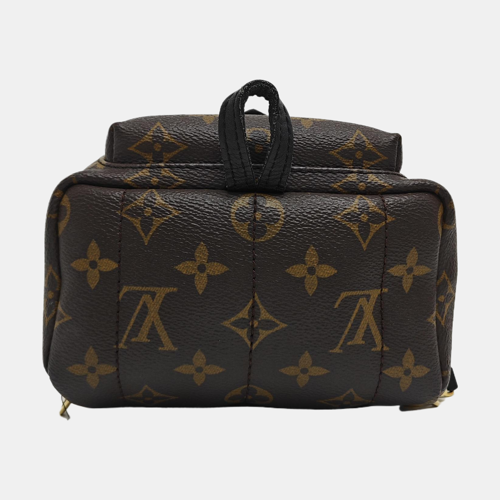 PALM SPRINGS Mini Monogram Coated Canvas Brown