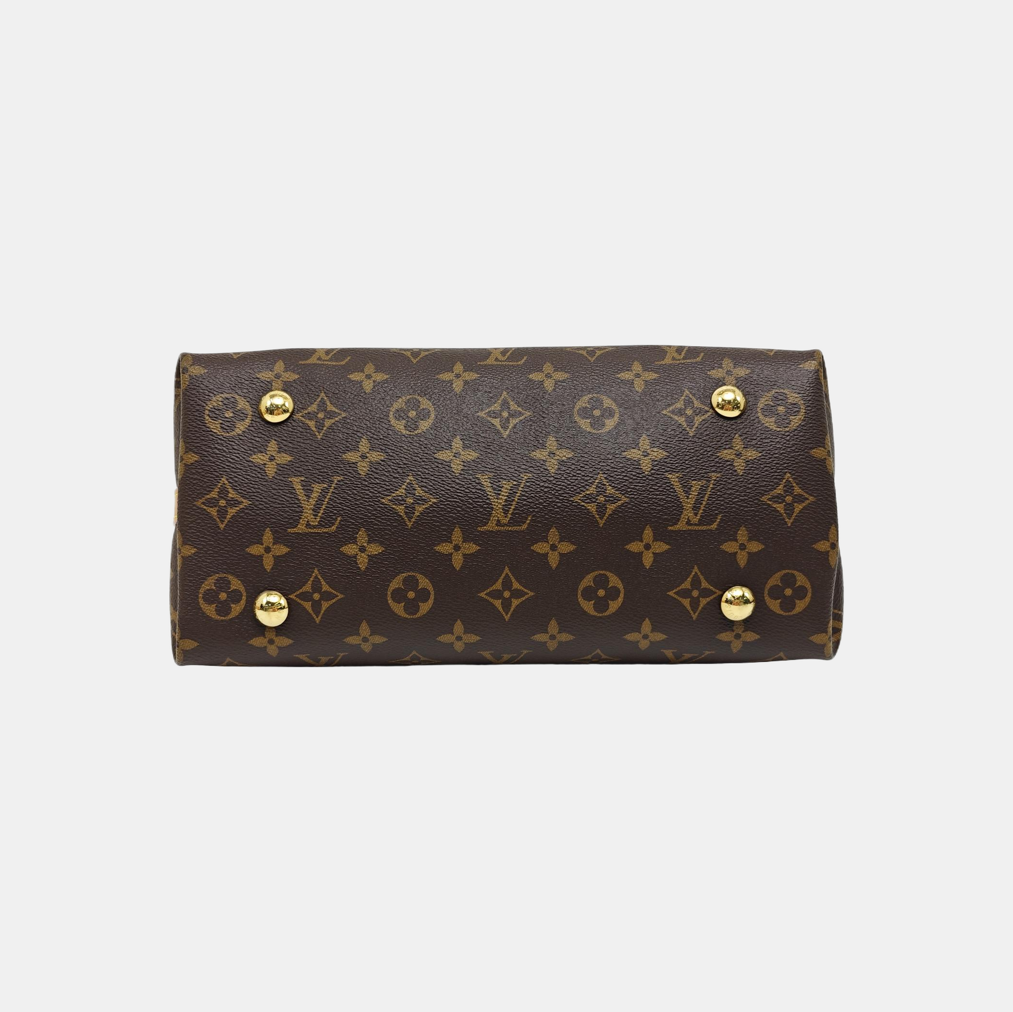 CARRYALL PM Monogram Coated Canvas Brown