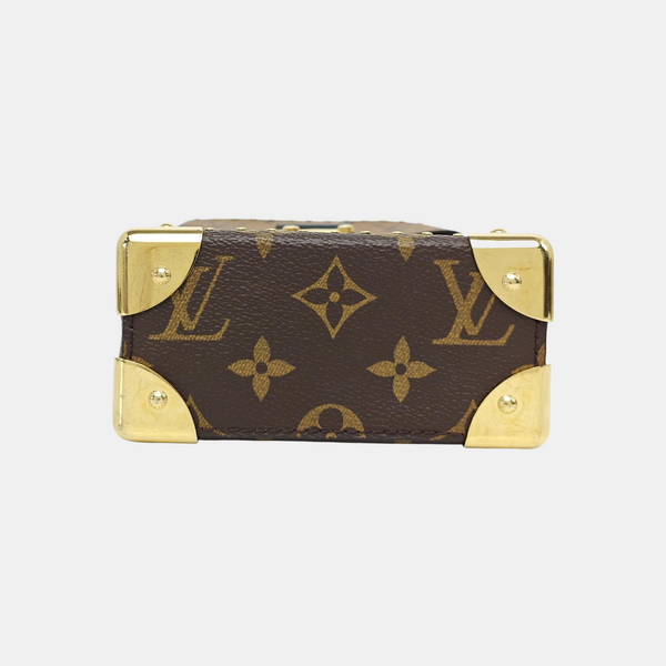 CAMERA BOX Monogram Coated Canvas Brown