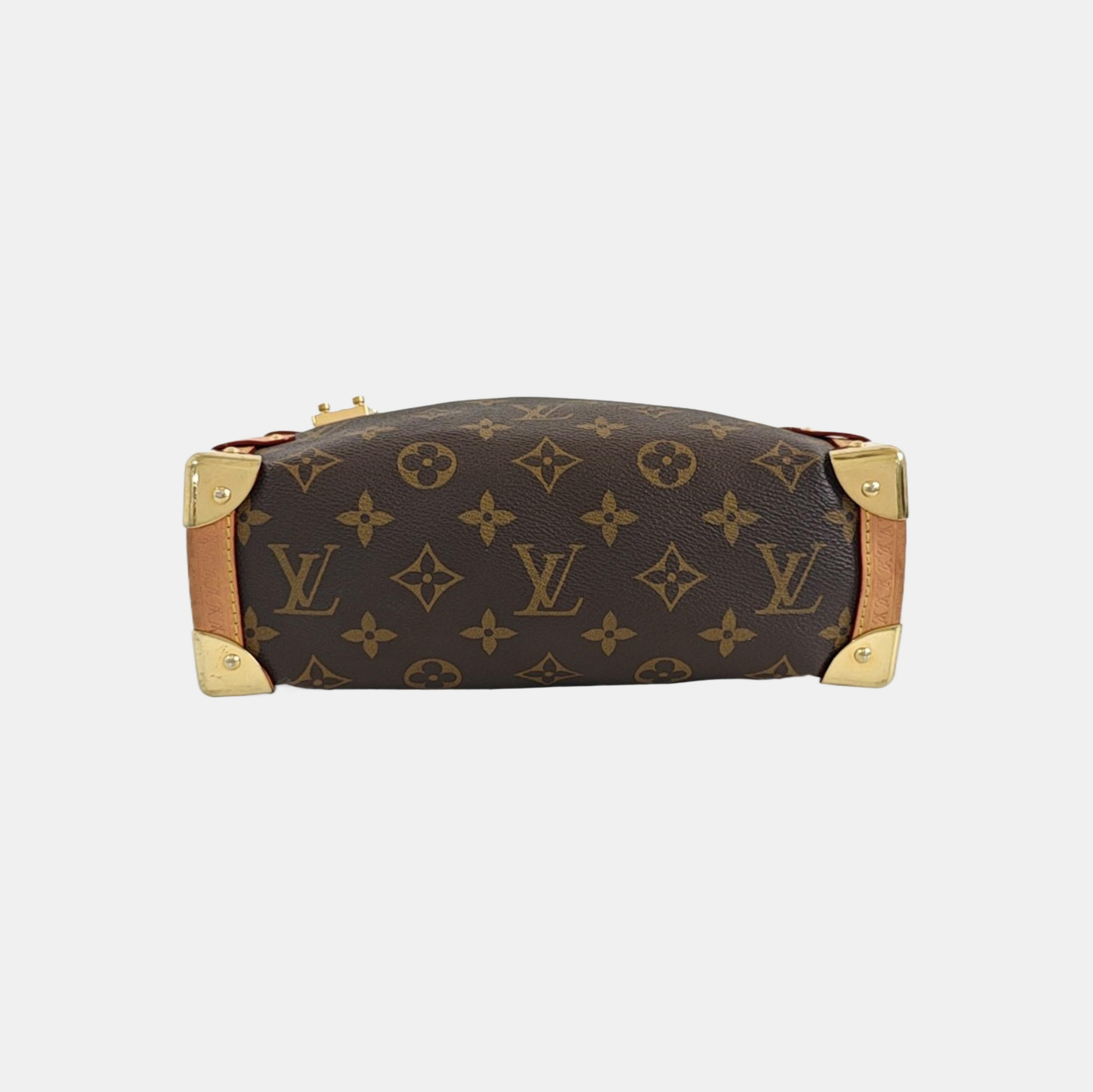 SIDE TRUNK MM Monogram Coated Canvas Brown
