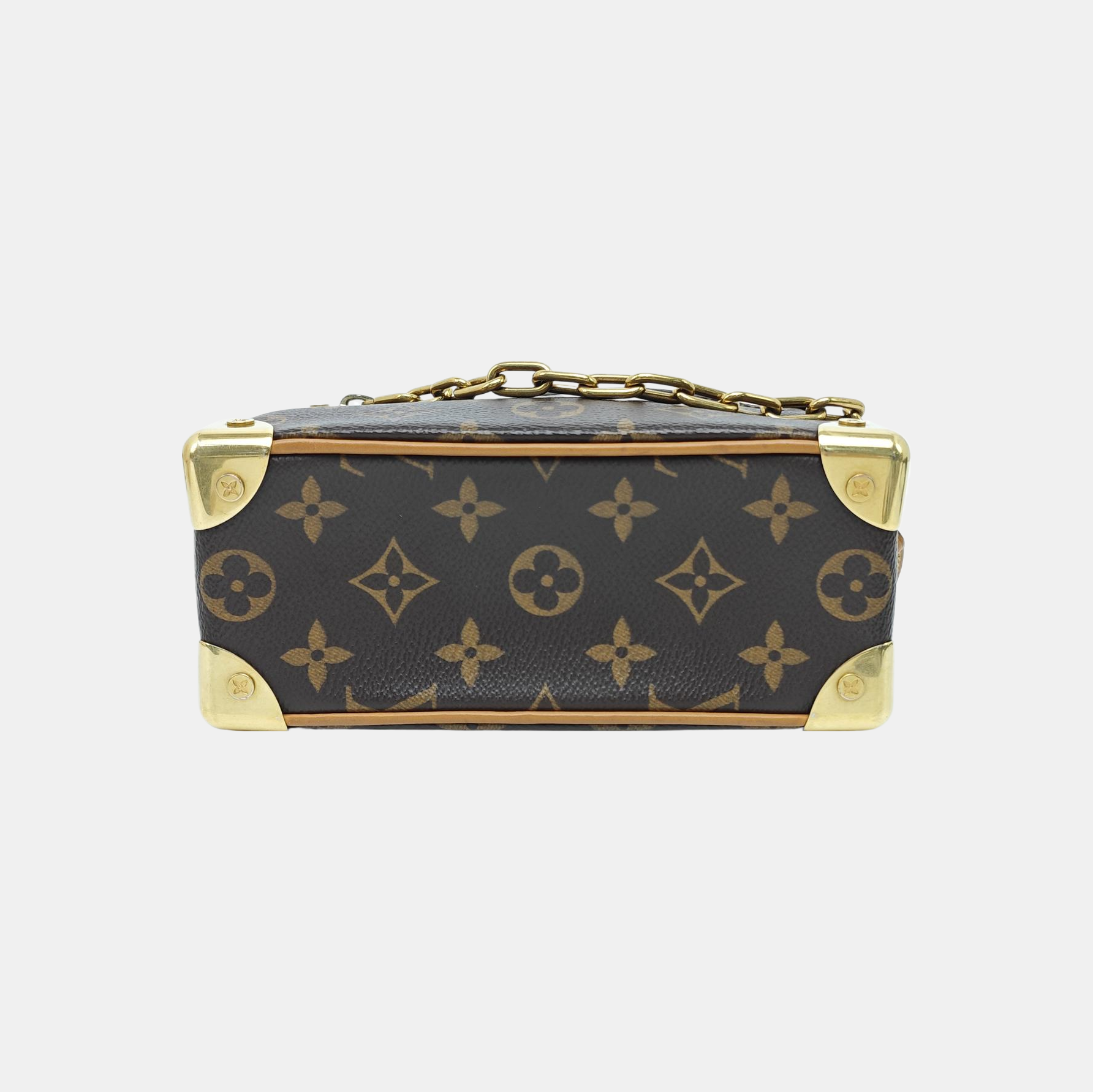 SOFT TRUNK Mini Monogram Coated Canvas Brown