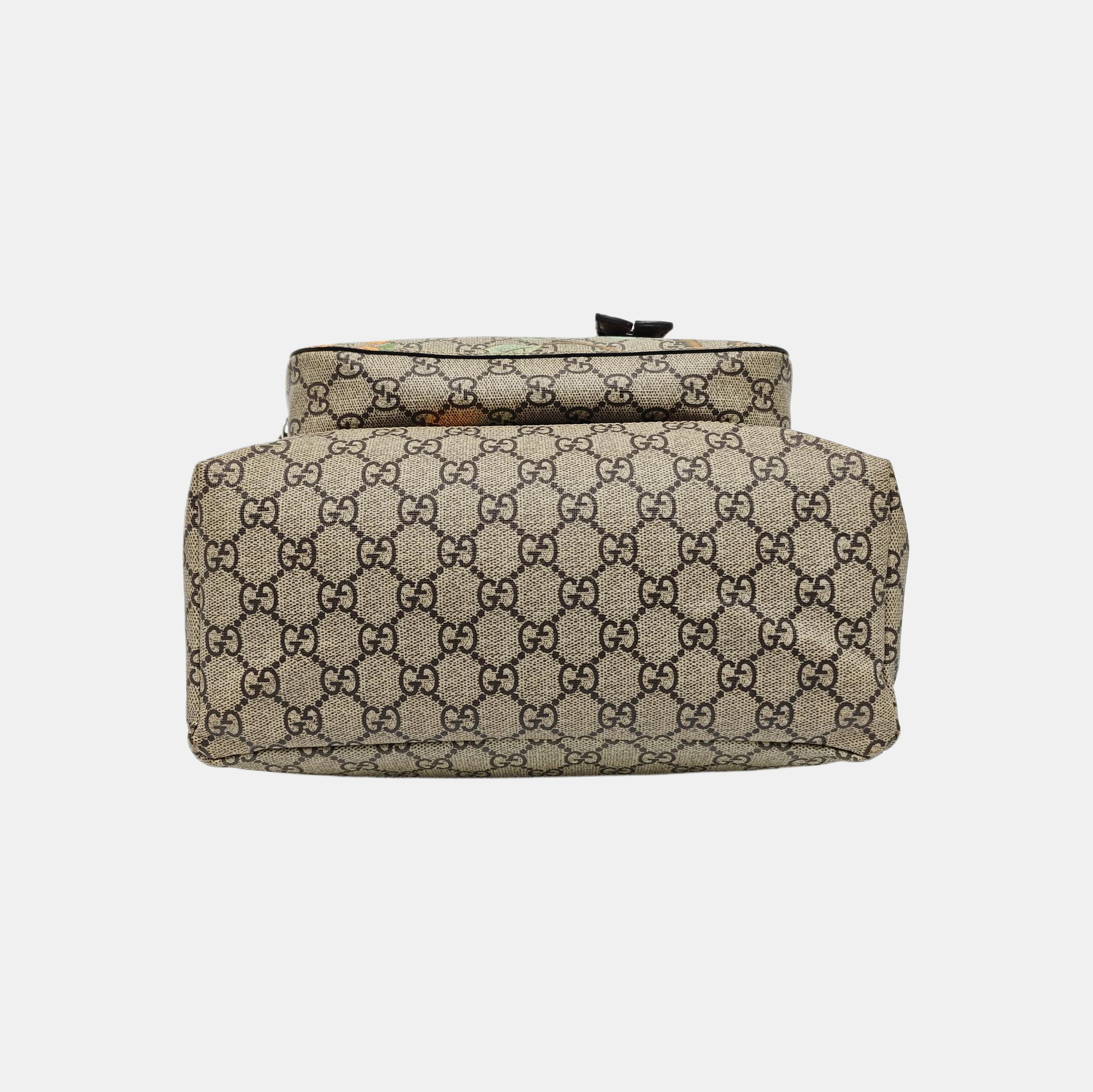 Tian Monogram Coated Canvas Brown