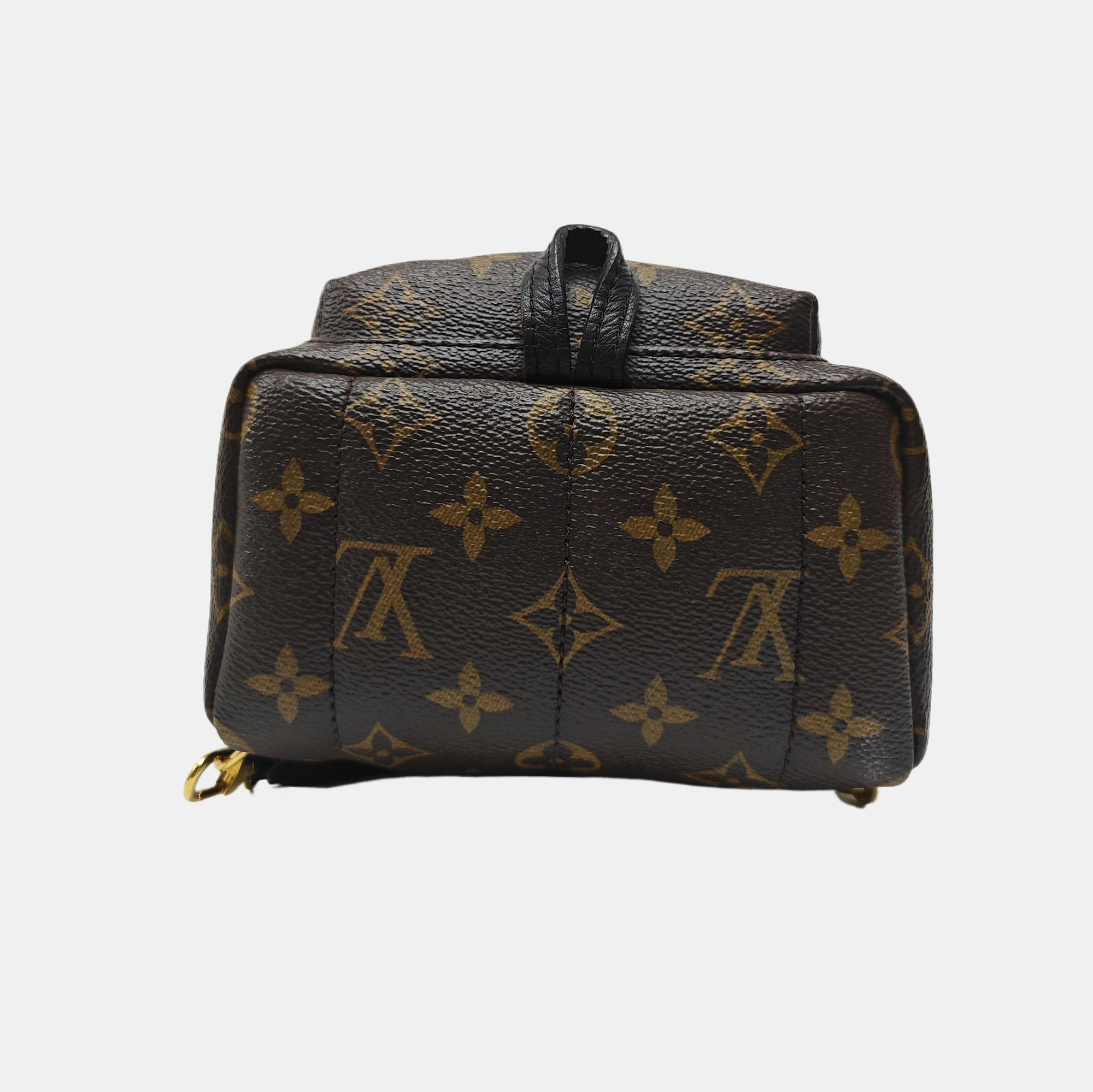 PALM SPRINGS Mini Monogram Coated Canvas Brown