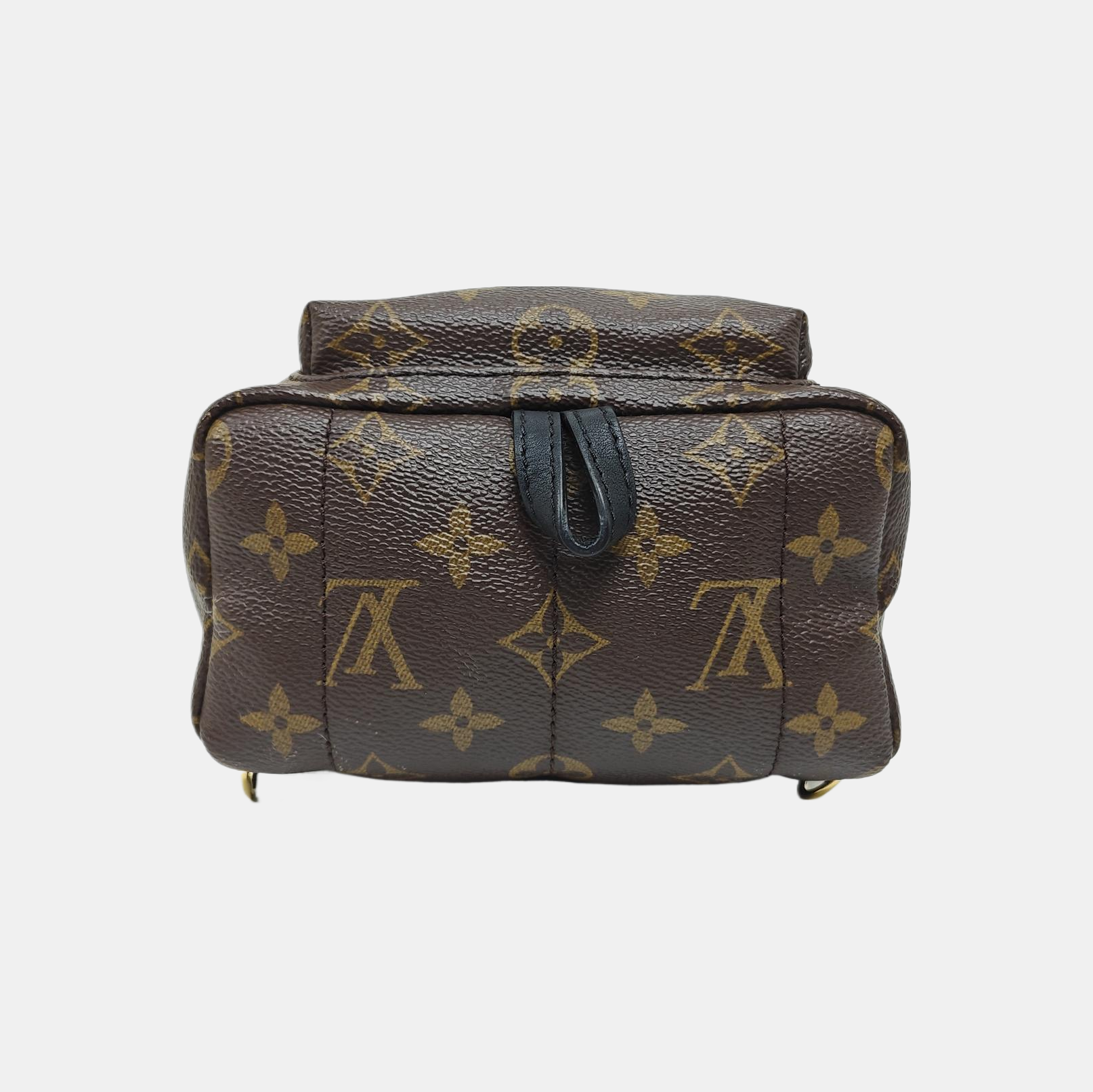 PALM SPRINGS Mini Monogram Coated Canvas Brown