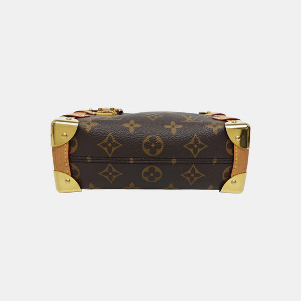 SIDE TRUNK PM Monogram Coated Canvas Brown