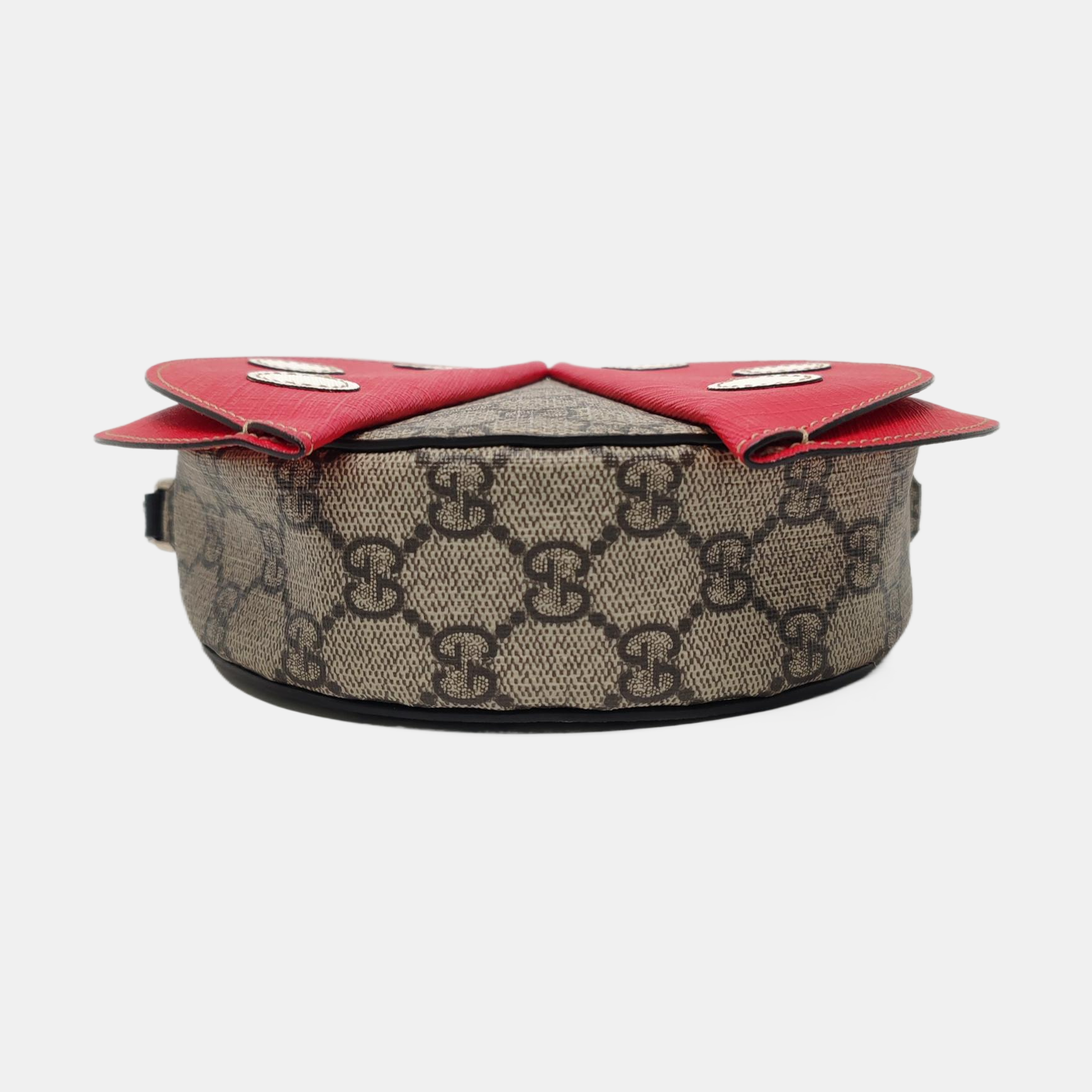 Monogram Coated Canvas Multicolor