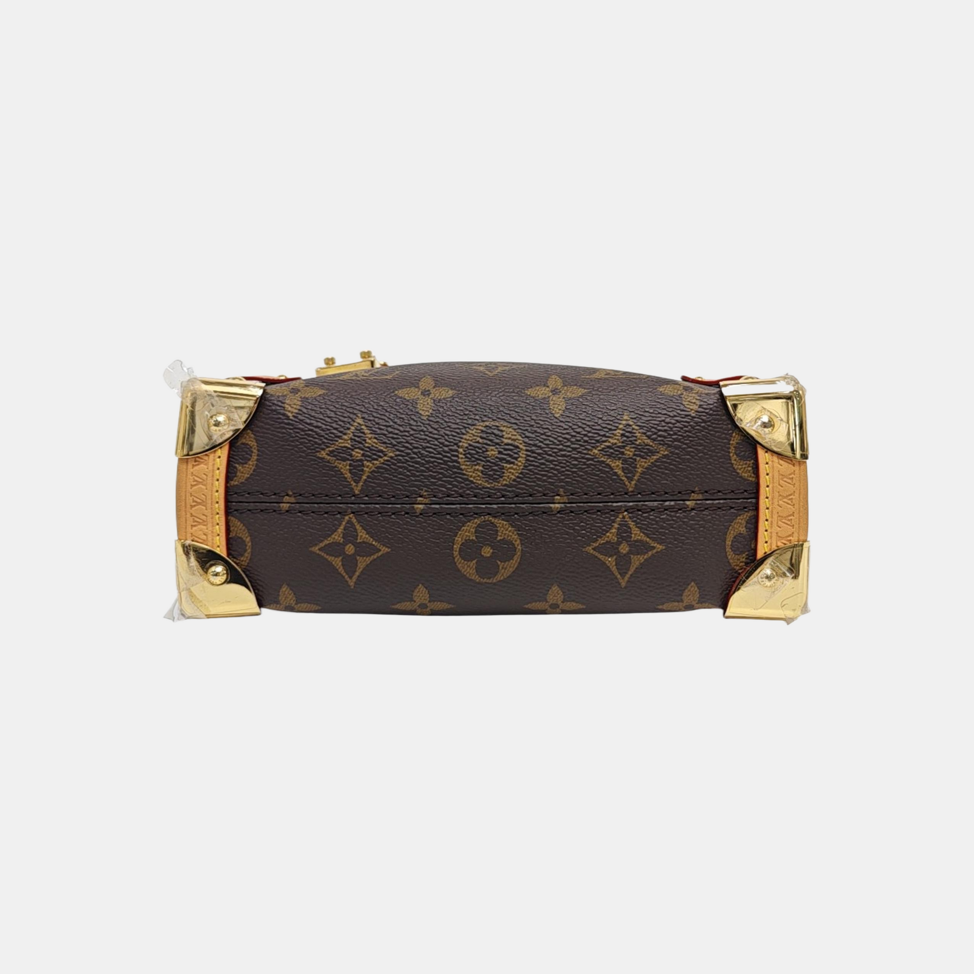 SIDE TRUNK PM Monogram Coated Canvas Brown