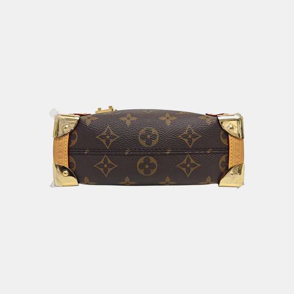 SIDE TRUNK PM Monogram Coated Canvas Brown