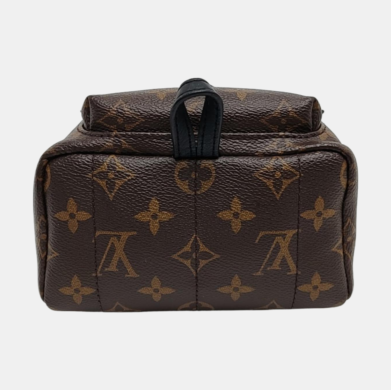 PALM SPRINGS Mini Monogram Coated Canvas Brown