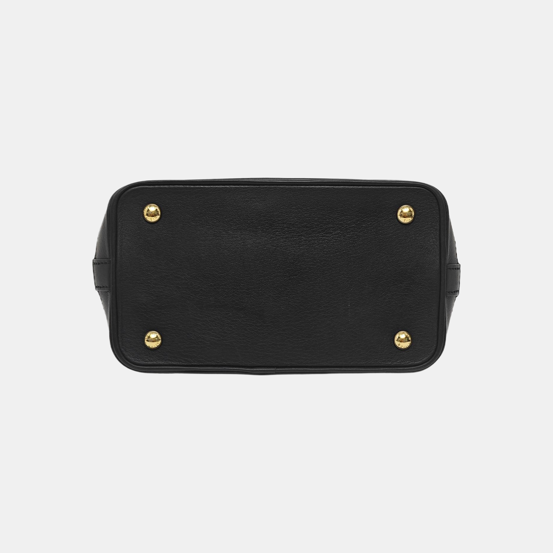CRUISER PM Monogram Calfskin Black