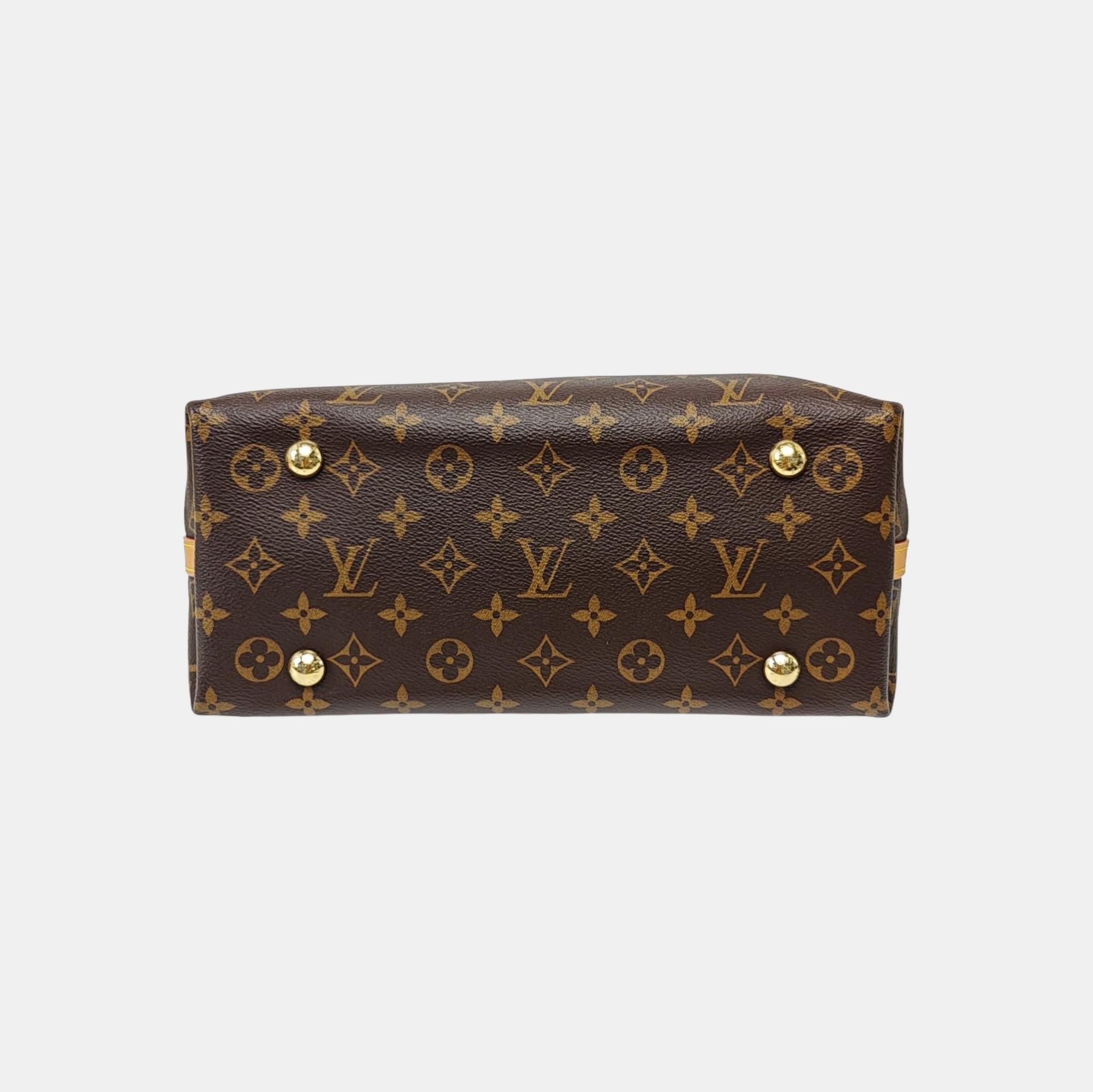 CARRYALL PM Monogram Coated Canvas Brown