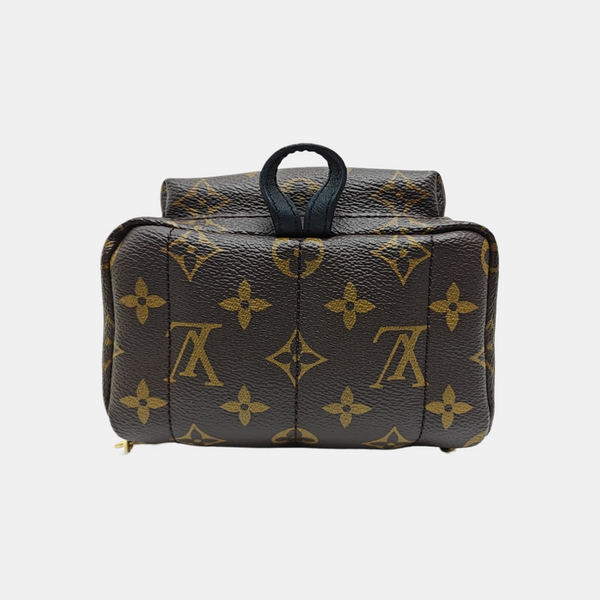 PALM SPRINGS Mini Monogram Coated Canvas Brown