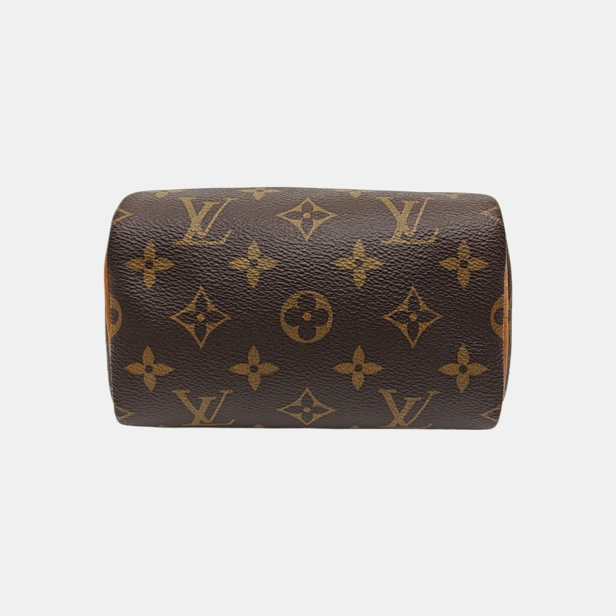 SPEEDY Nano Monogram Coated Canvas Brown