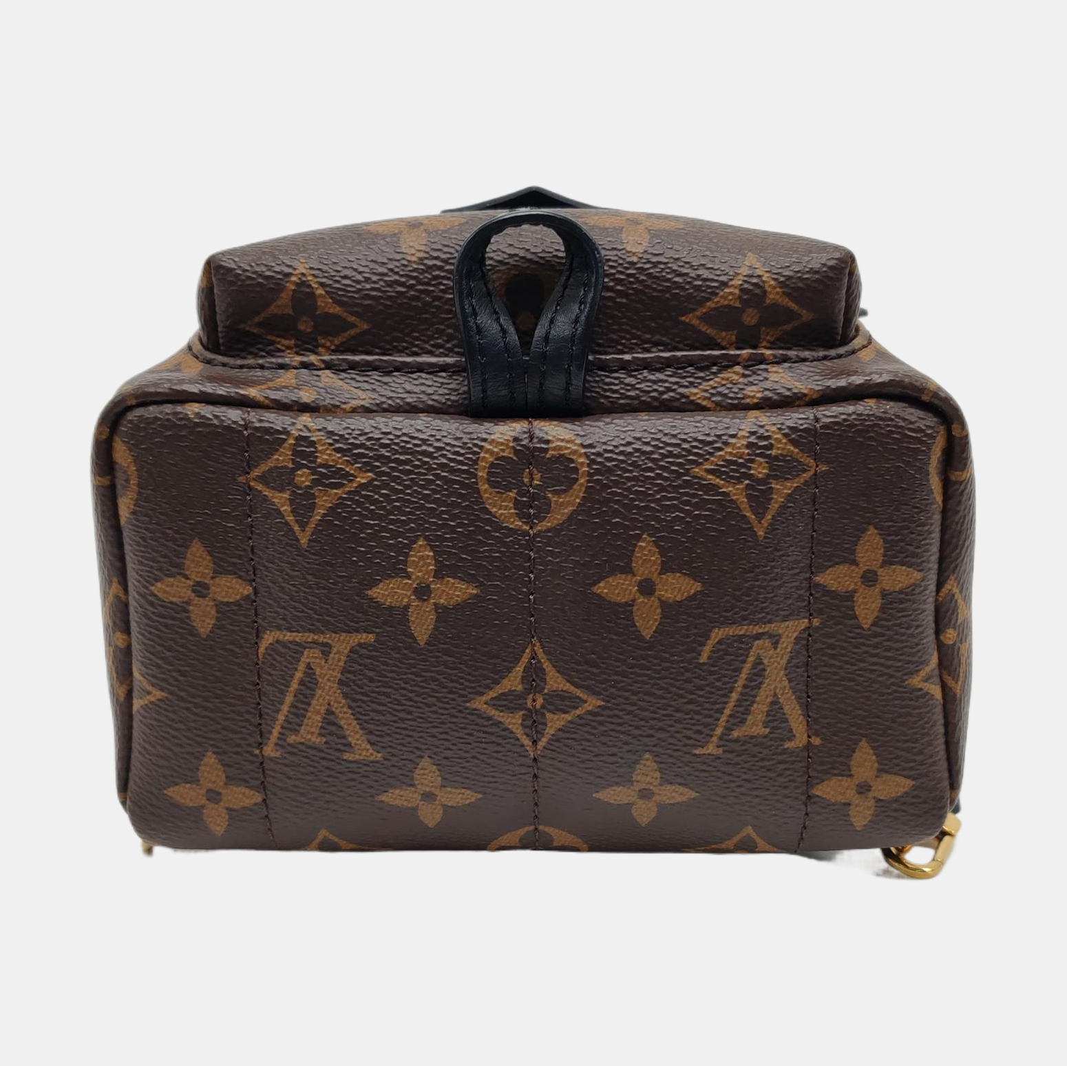 PALM SPRINGS Mini Monogram Coated Canvas Brown