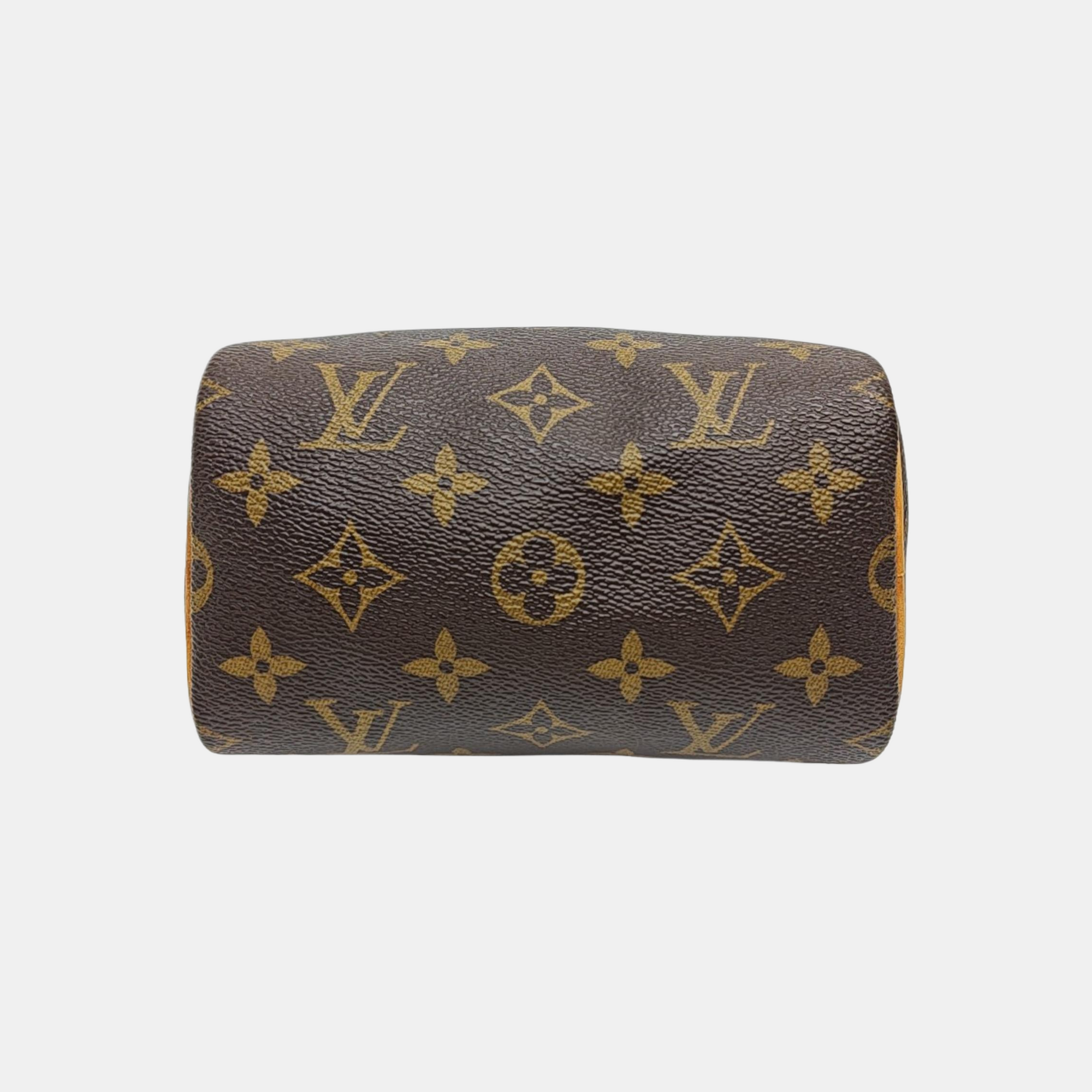 SPEEDY Nano Monogram Coated Canvas Brown