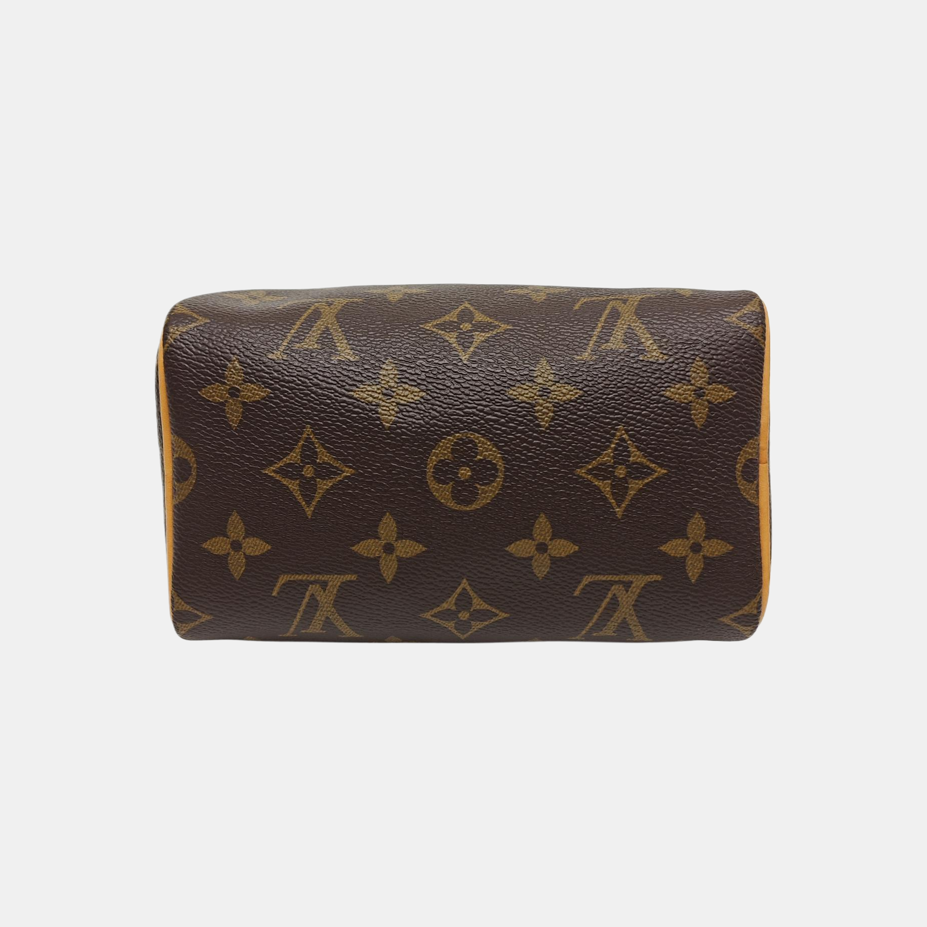 SPEEDY Nano Monogram Coated Canvas Brown