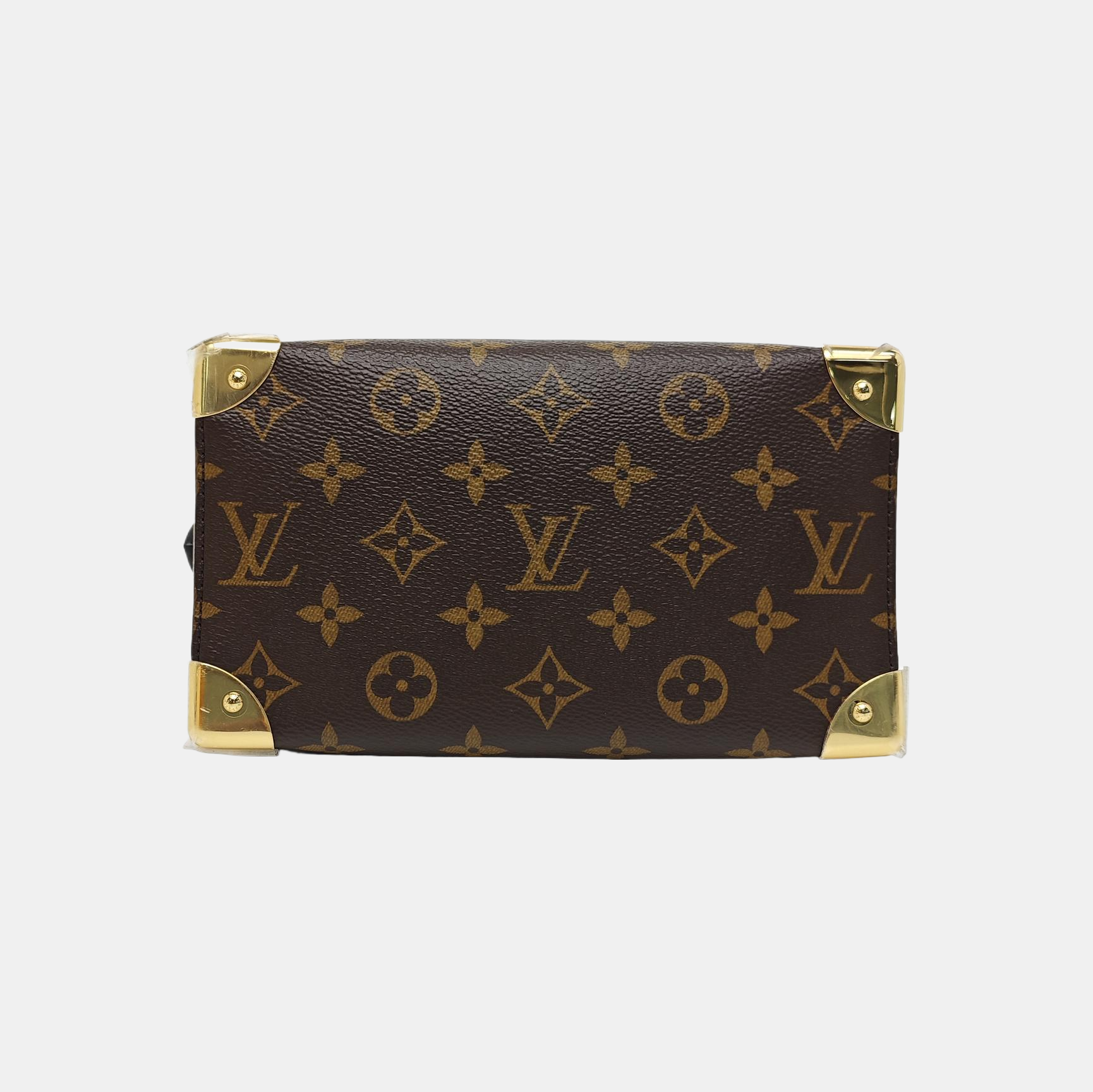 SPEEDY TRUNK 20 Monogram Coated Canvas Brown