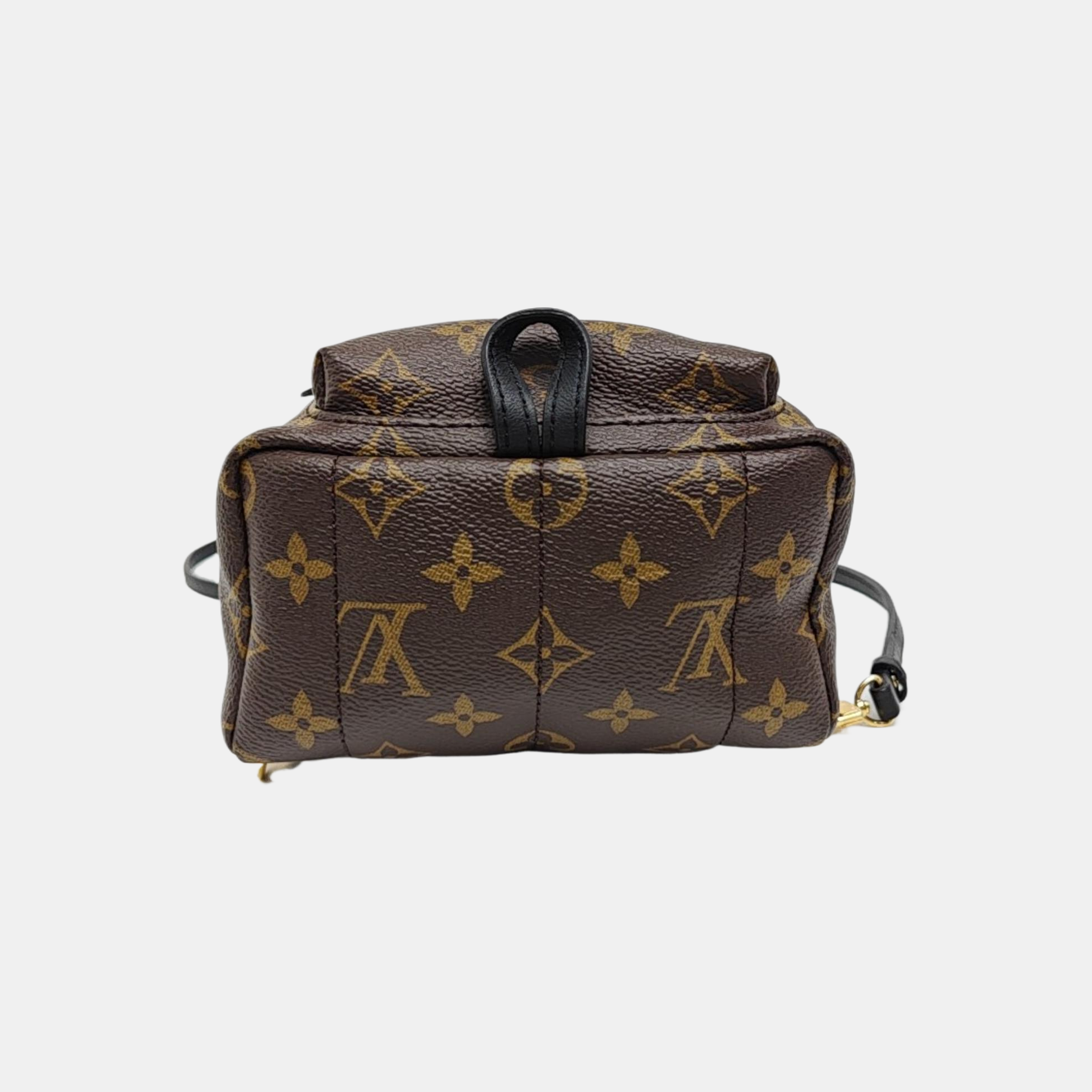 PALM SPRINGS Mini Monogram Coated Canvas Brown