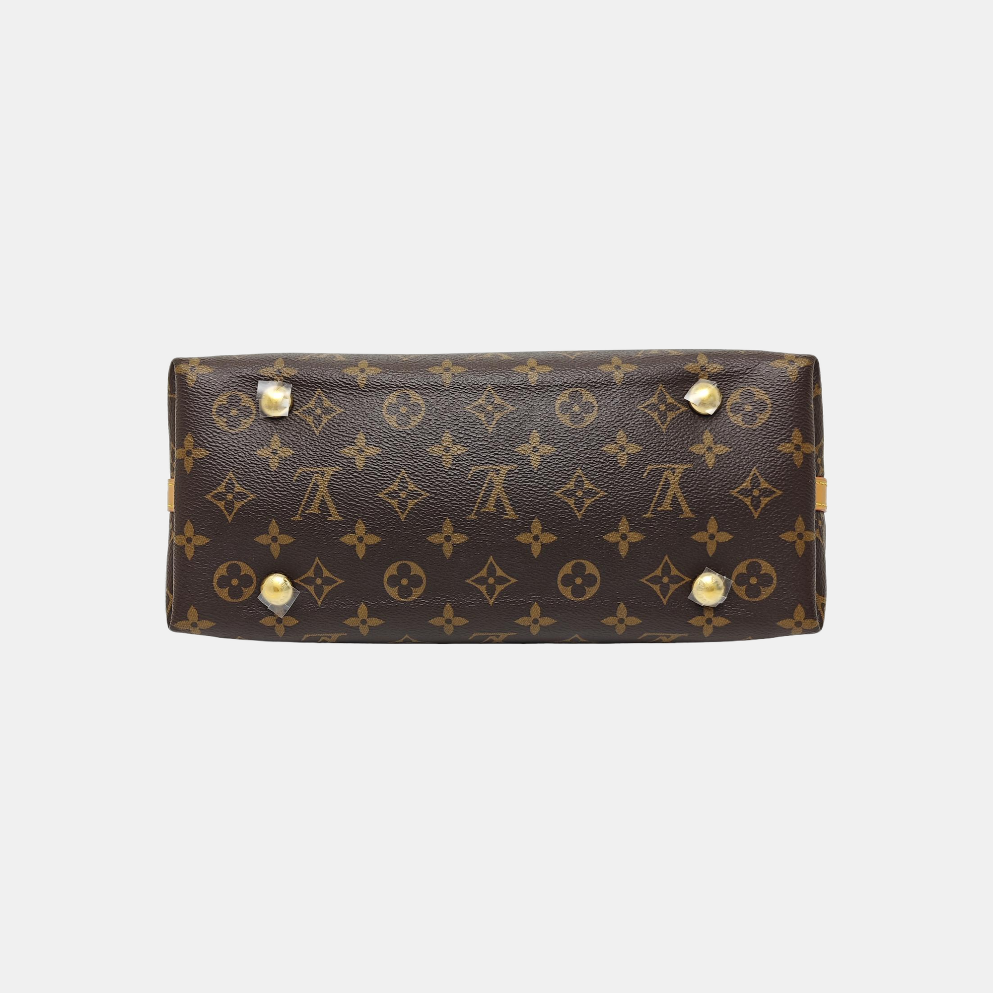 CARRYALL PM Monogram Coated Canvas Brown