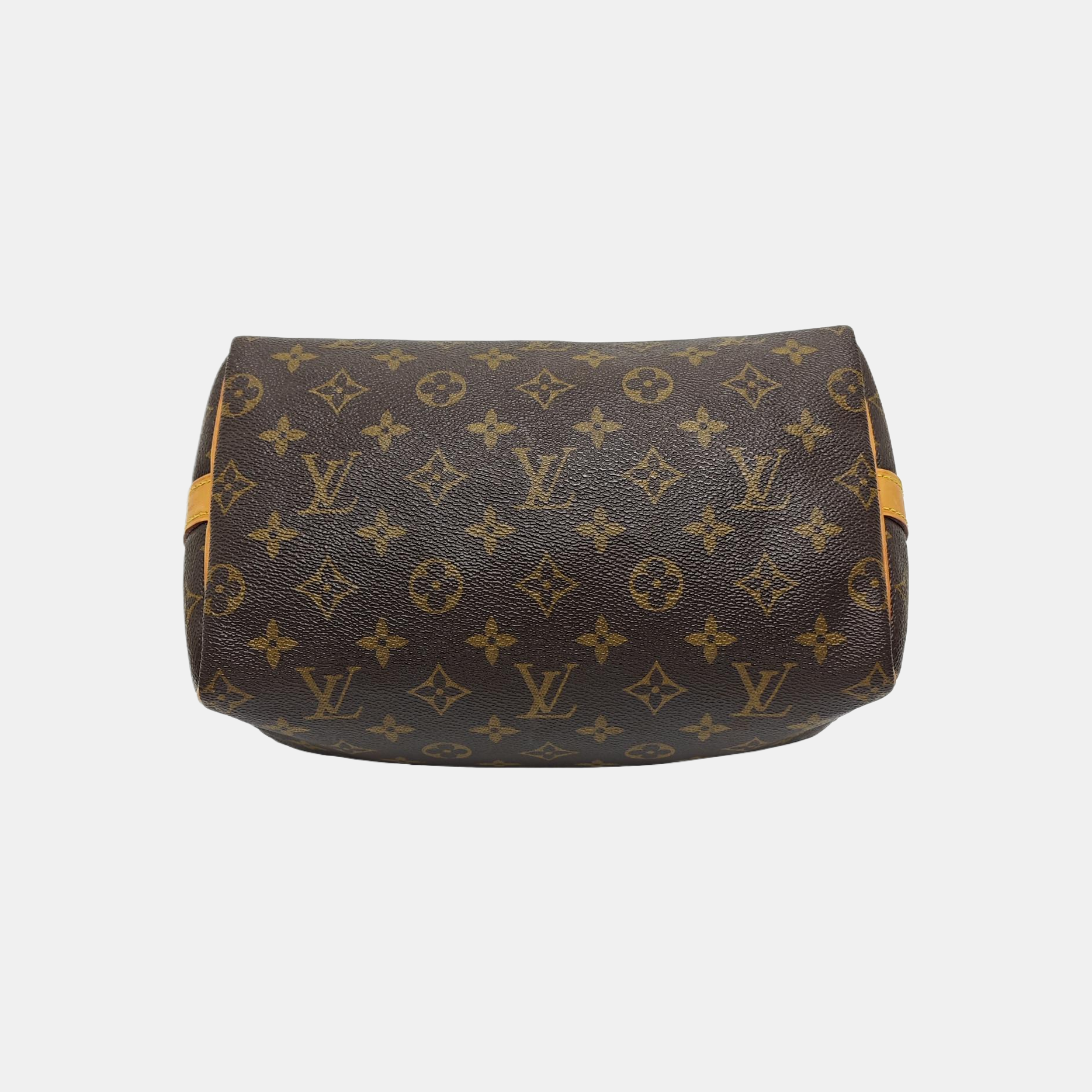 SPEEDY 25 Monogram Coated Canvas Brown