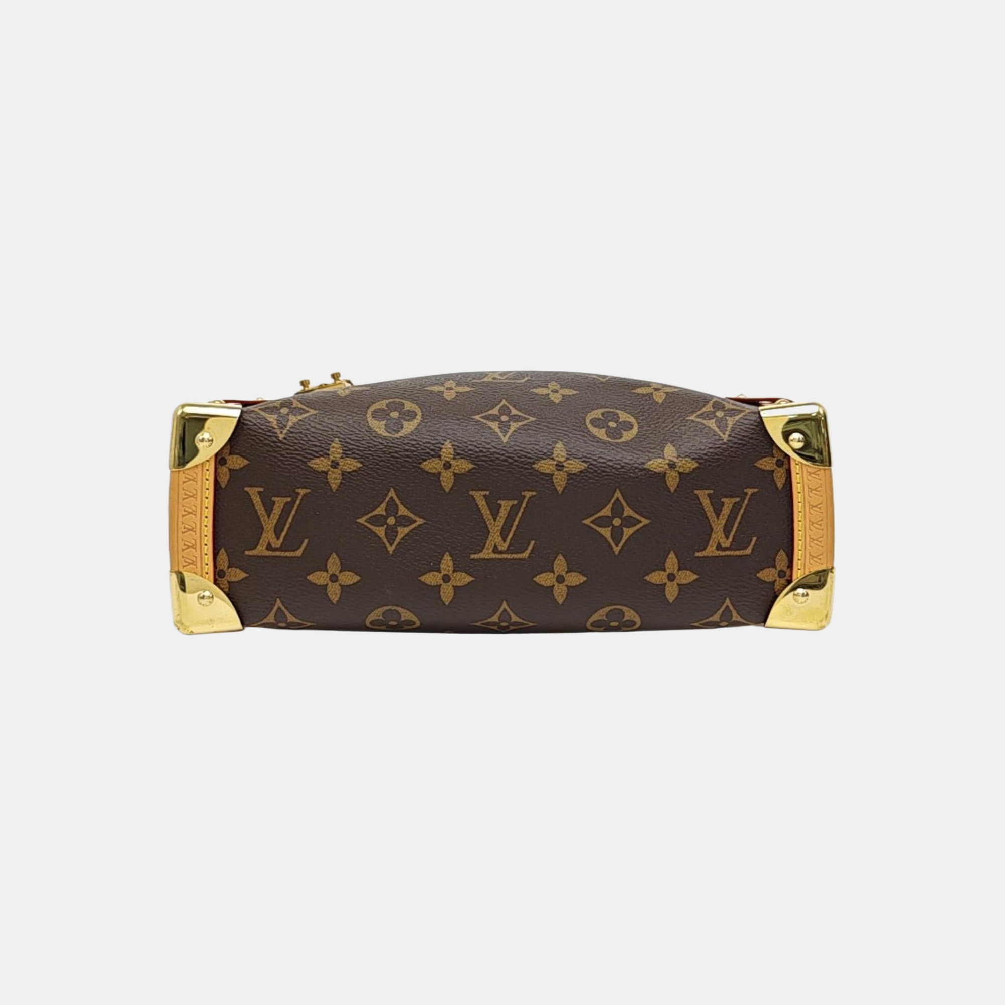 SIDE TRUNK MM Monogram Coated Canvas Brown