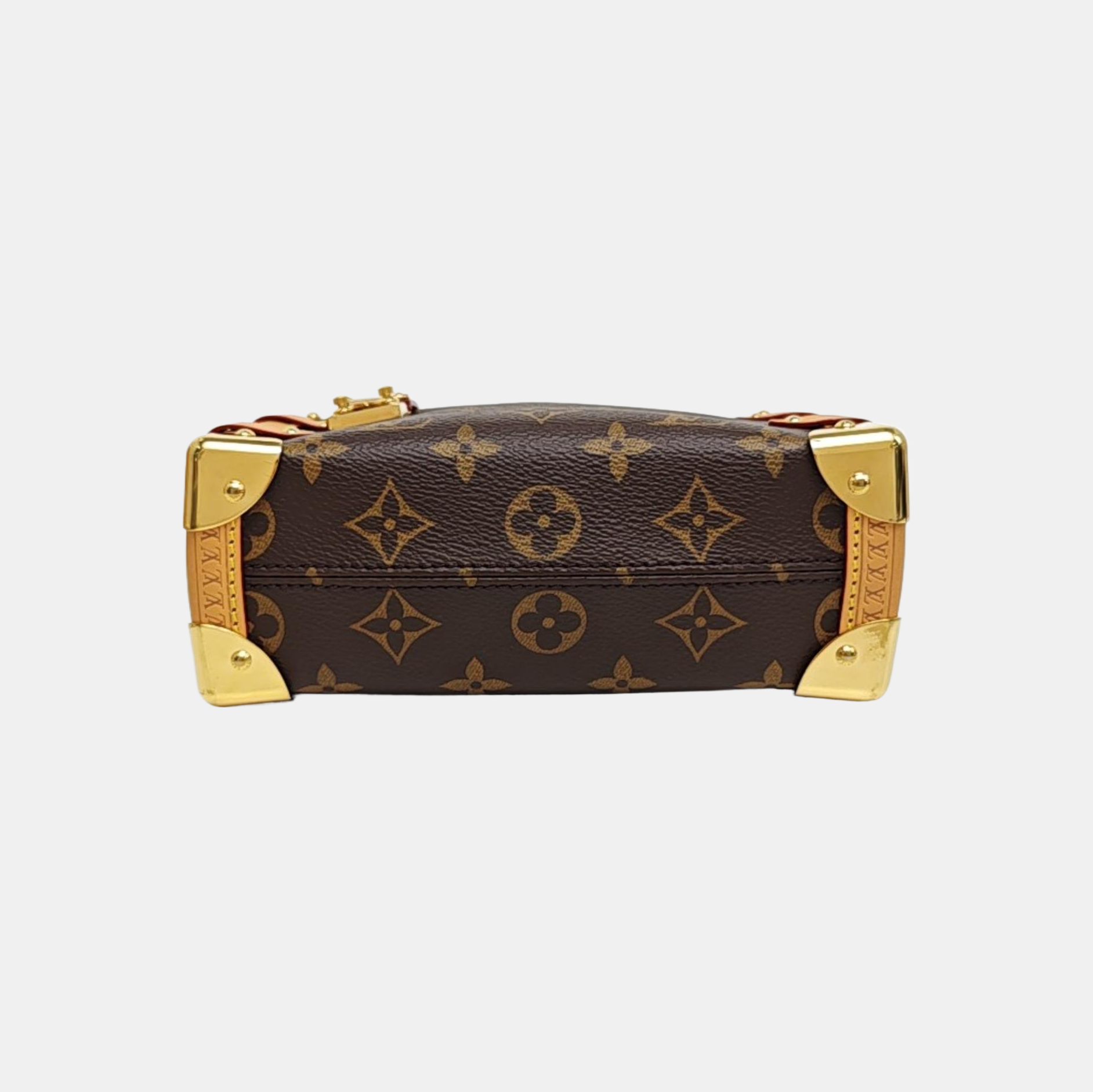 SIDE TRUNK PM Monogram Coated Canvas Brown
