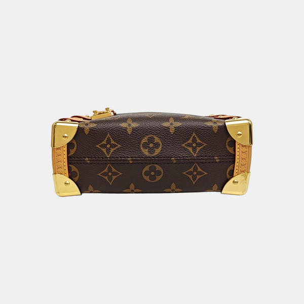 SIDE TRUNK PM Monogram Coated Canvas Brown