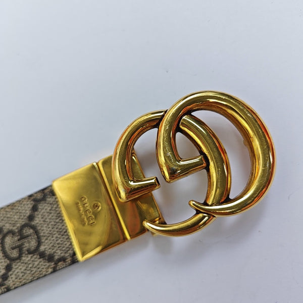 Coated Canvas Belt Brown