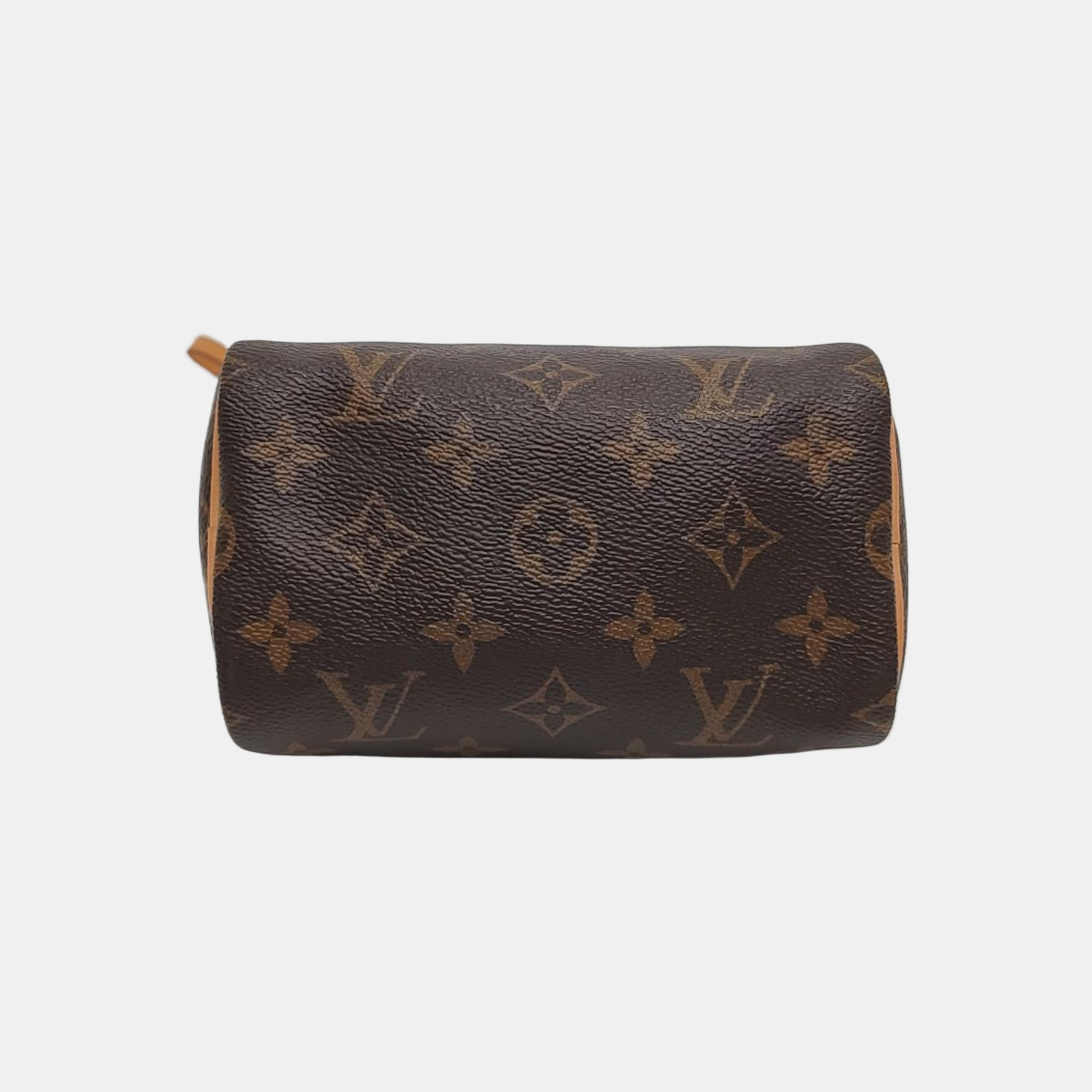 SPEEDY Nano Monogram Coated Canvas Brown