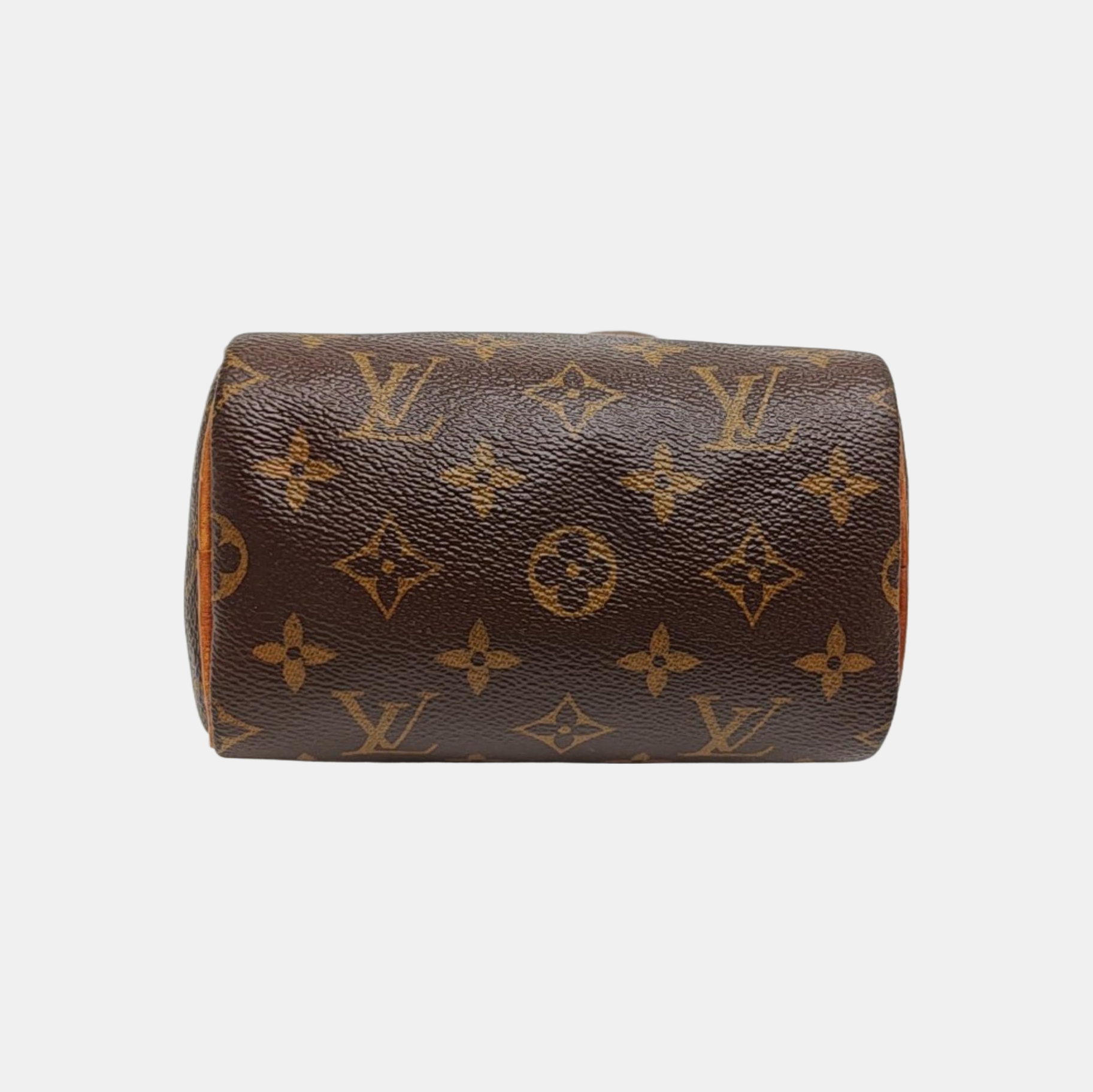 SPEEDY Nano Monogram Coated Canvas Brown