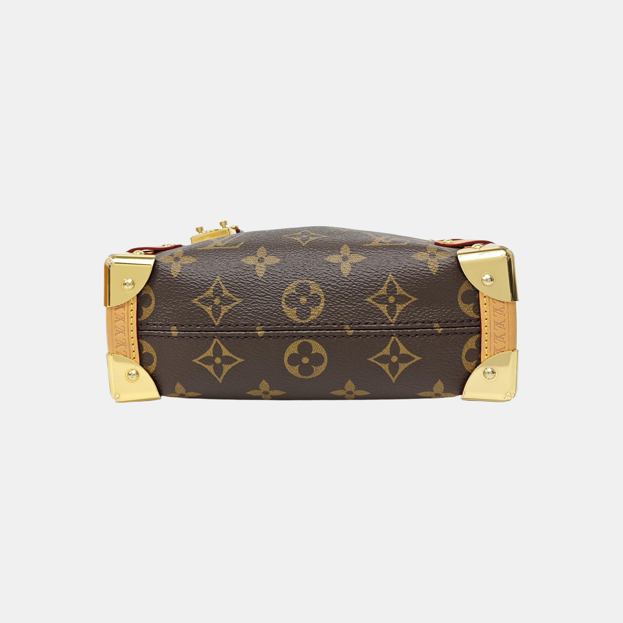 SIDE TRUNK PM Monogram Coated Canvas Brown