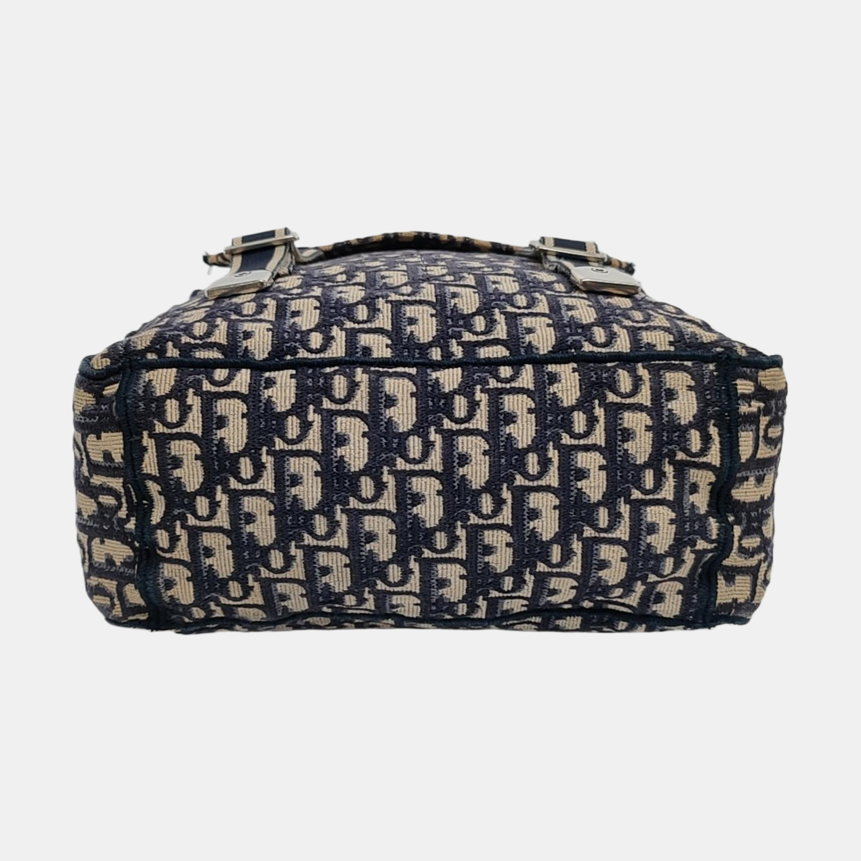 Diorcamp Large Canvas Blue