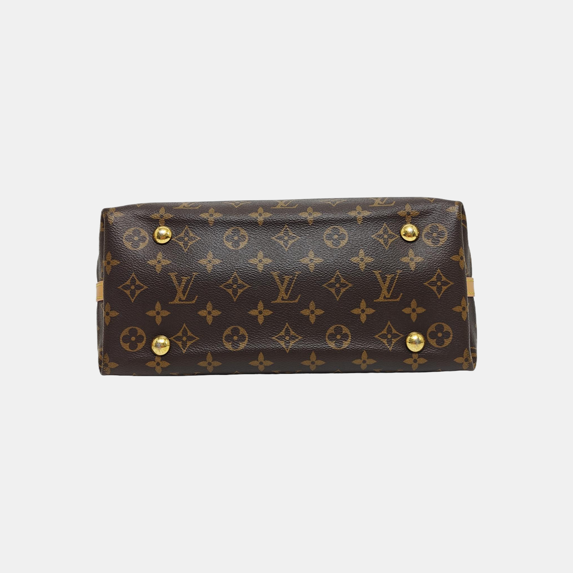 CARRYALL PM Monogram Coated Canvas Brown