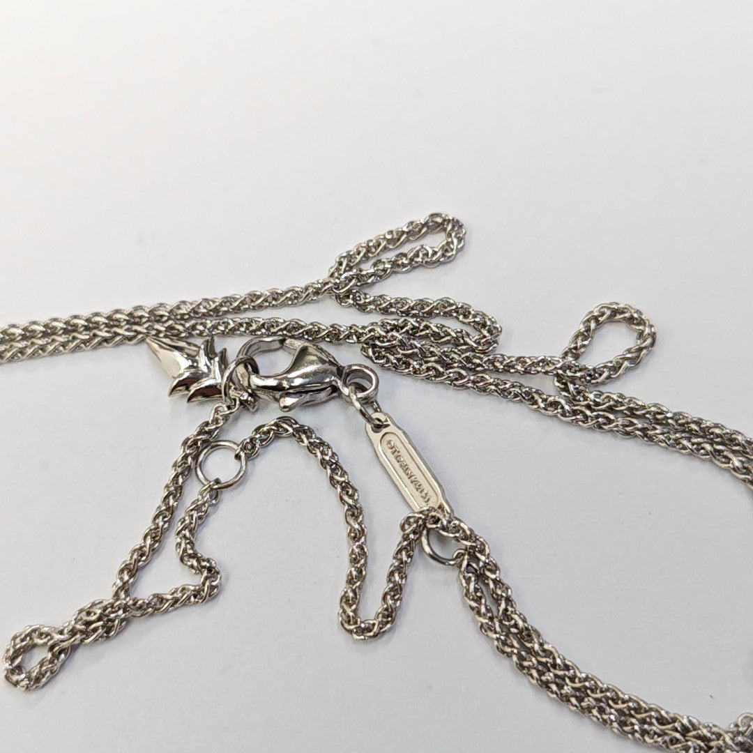 Platinum 950 Silver Necklace
