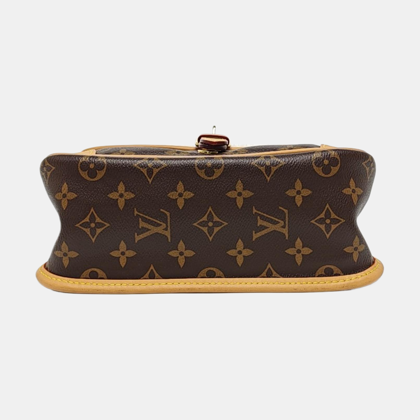 DIANE Monogram Coated Canvas Multicolor