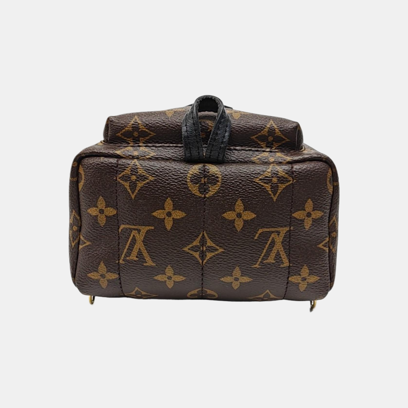 PALM SPRINGS Mini Monogram Coated Canvas Brown