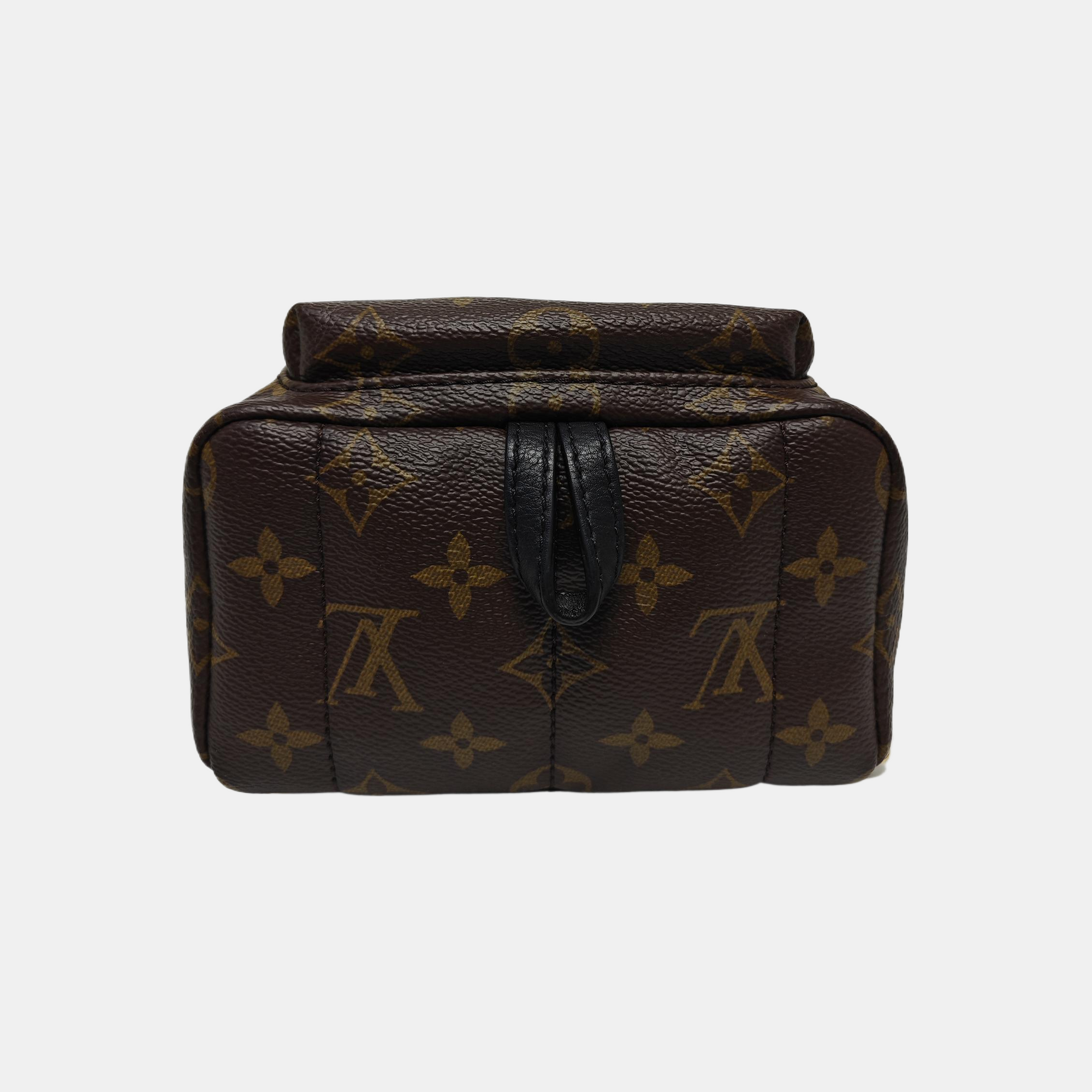 PALM SPRINGS Mini Monogram Coated Canvas Brown