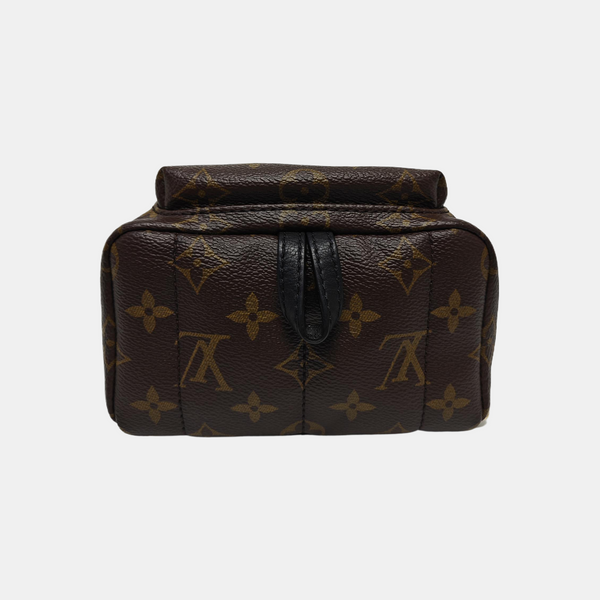 PALM SPRINGS Mini Monogram Coated Canvas Brown