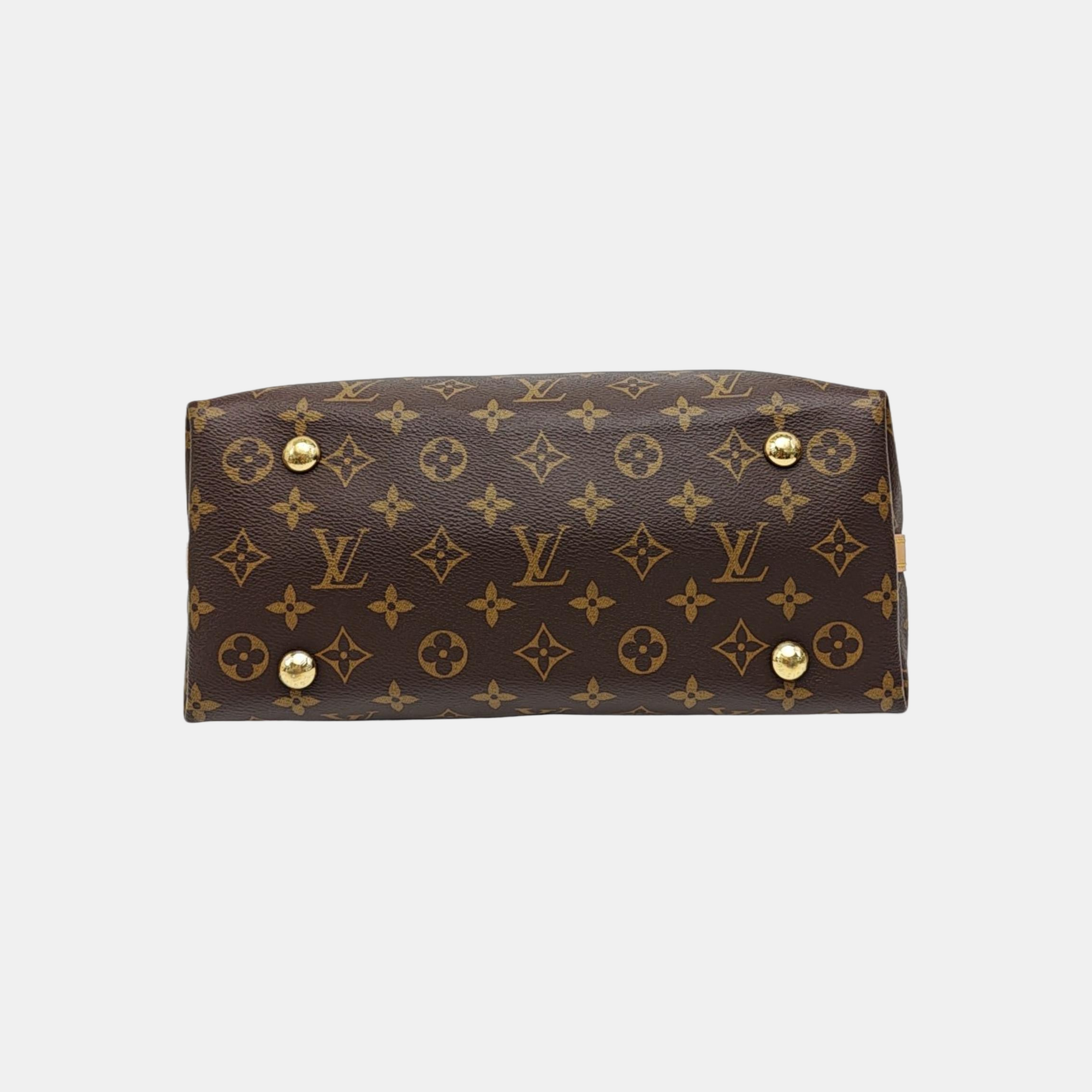 CARRYALL PM Monogram Coated Canvas Brown