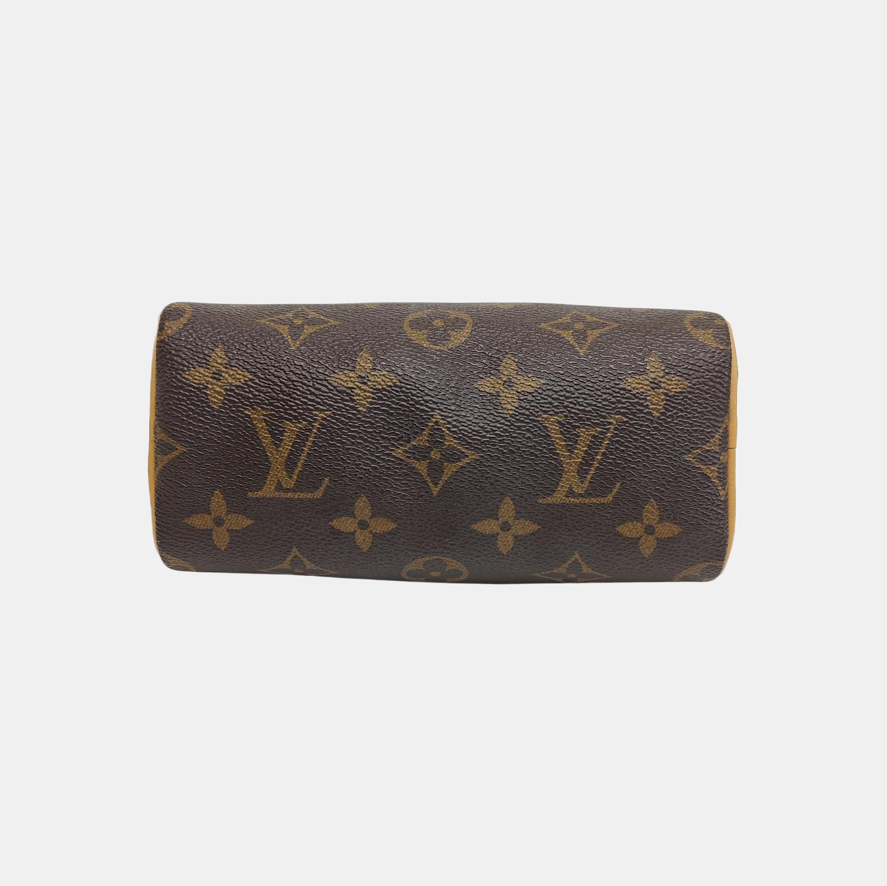 SPEEDY Nano Monogram Coated Canvas Brown