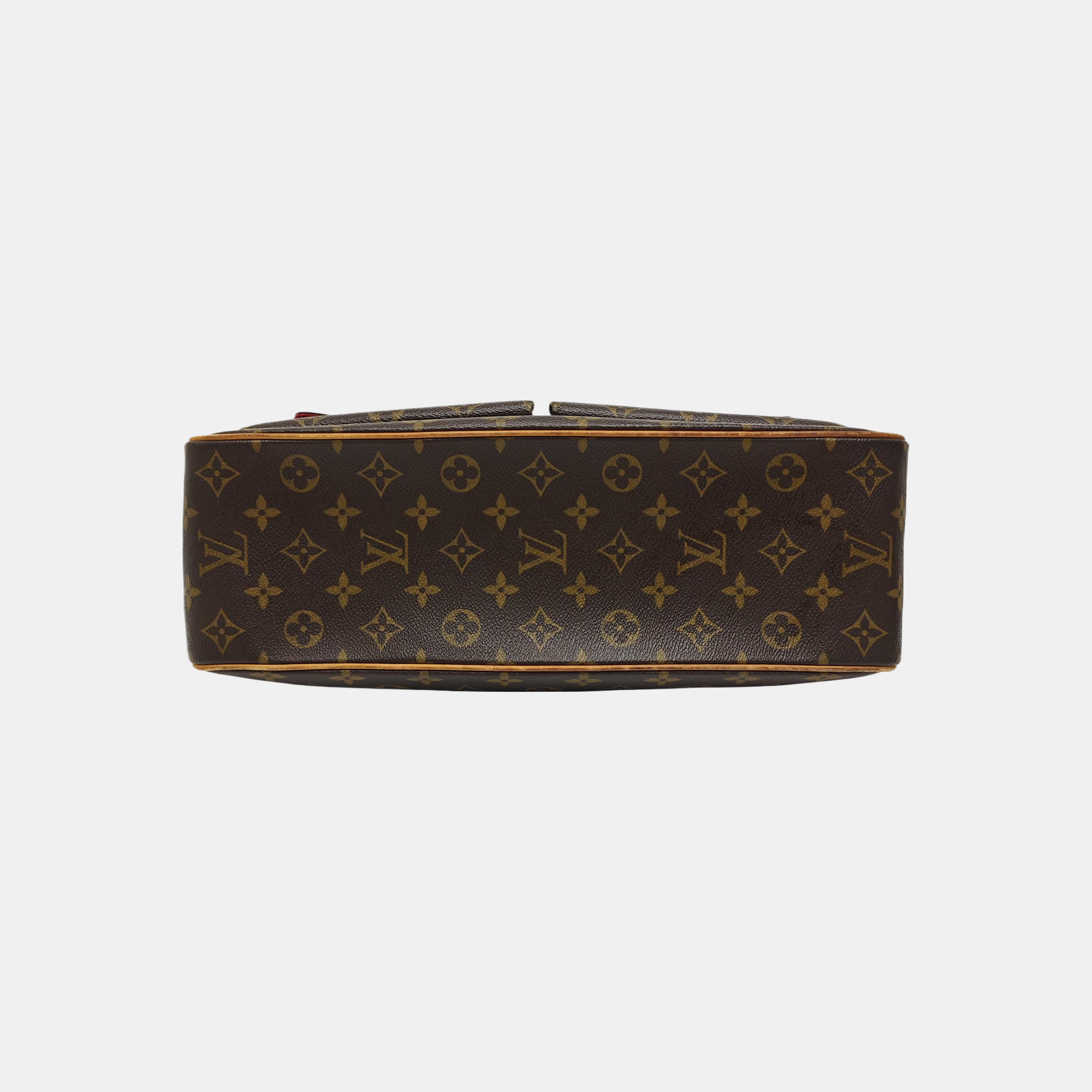 MULTIPLE Monogram Coated Canvas Brown