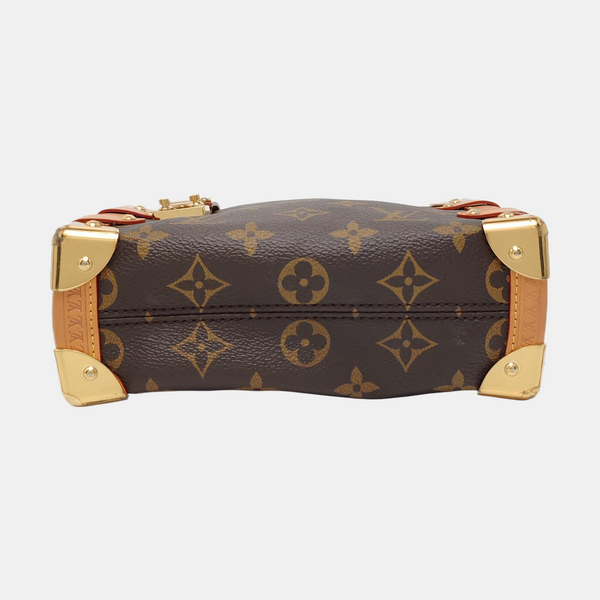 SIDE TRUNK PM Monogram Coated Canvas Brown