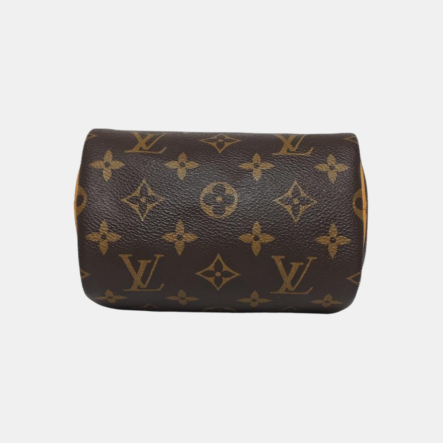 SPEEDY Nano Monogram Coated Canvas Brown