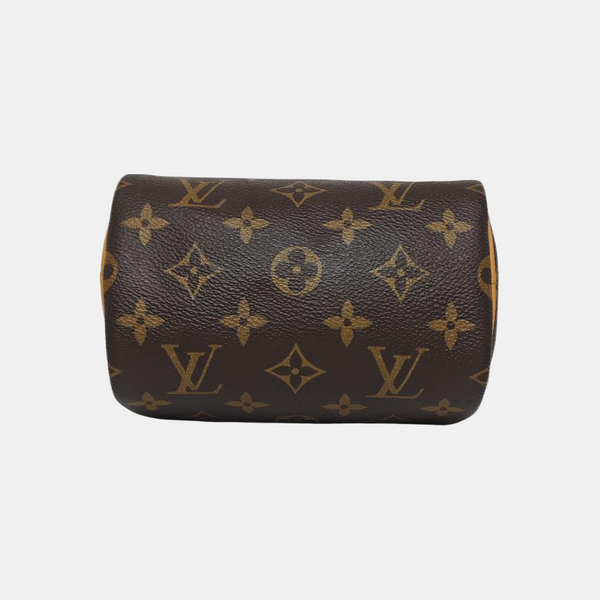 SPEEDY Nano Monogram Coated Canvas Brown