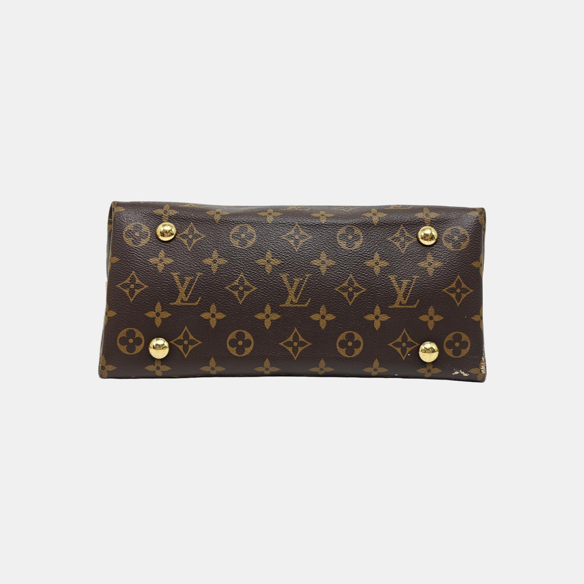 CARRYALL PM Monogram Coated Canvas Brown