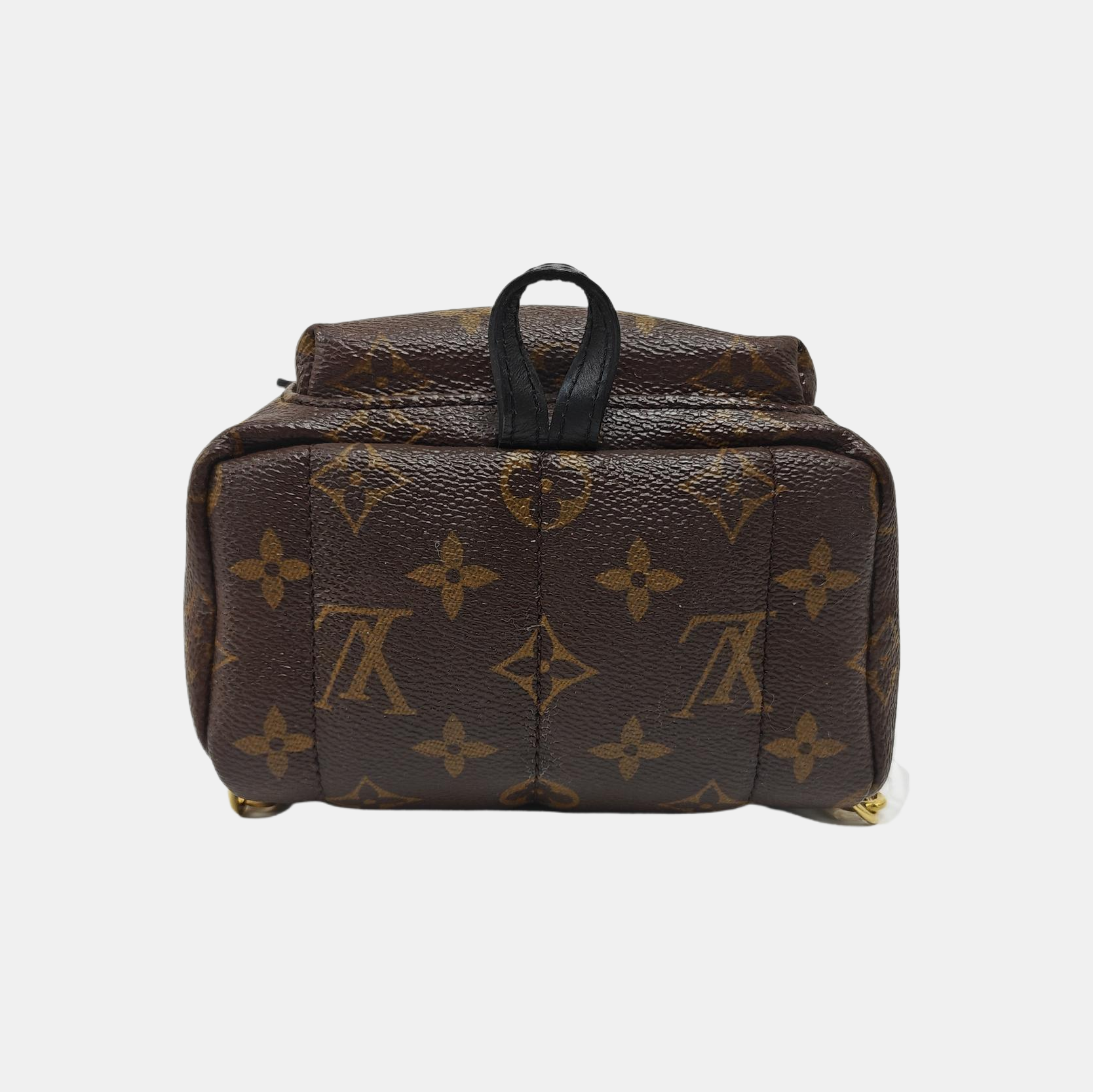 PALM SPRINGS Mini Monogram Coated Canvas Brown