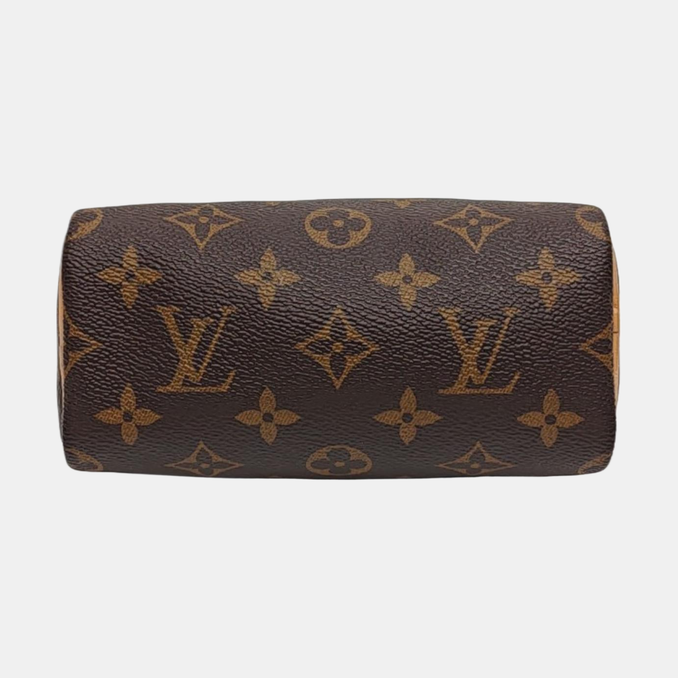 SPEEDY Nano Monogram Coated Canvas Brown
