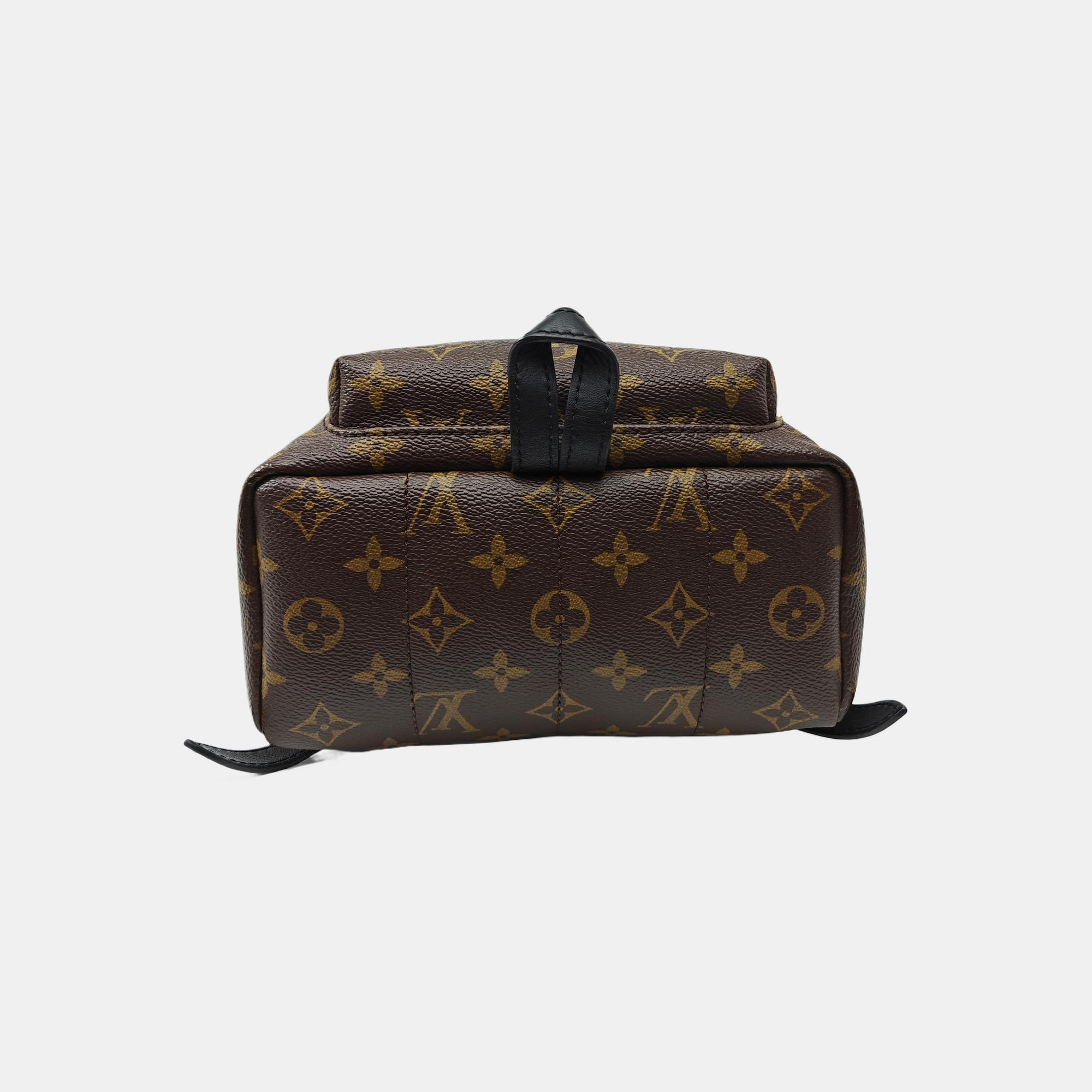 PALM SPRINGS PM Monogram Coated Canvas Brown