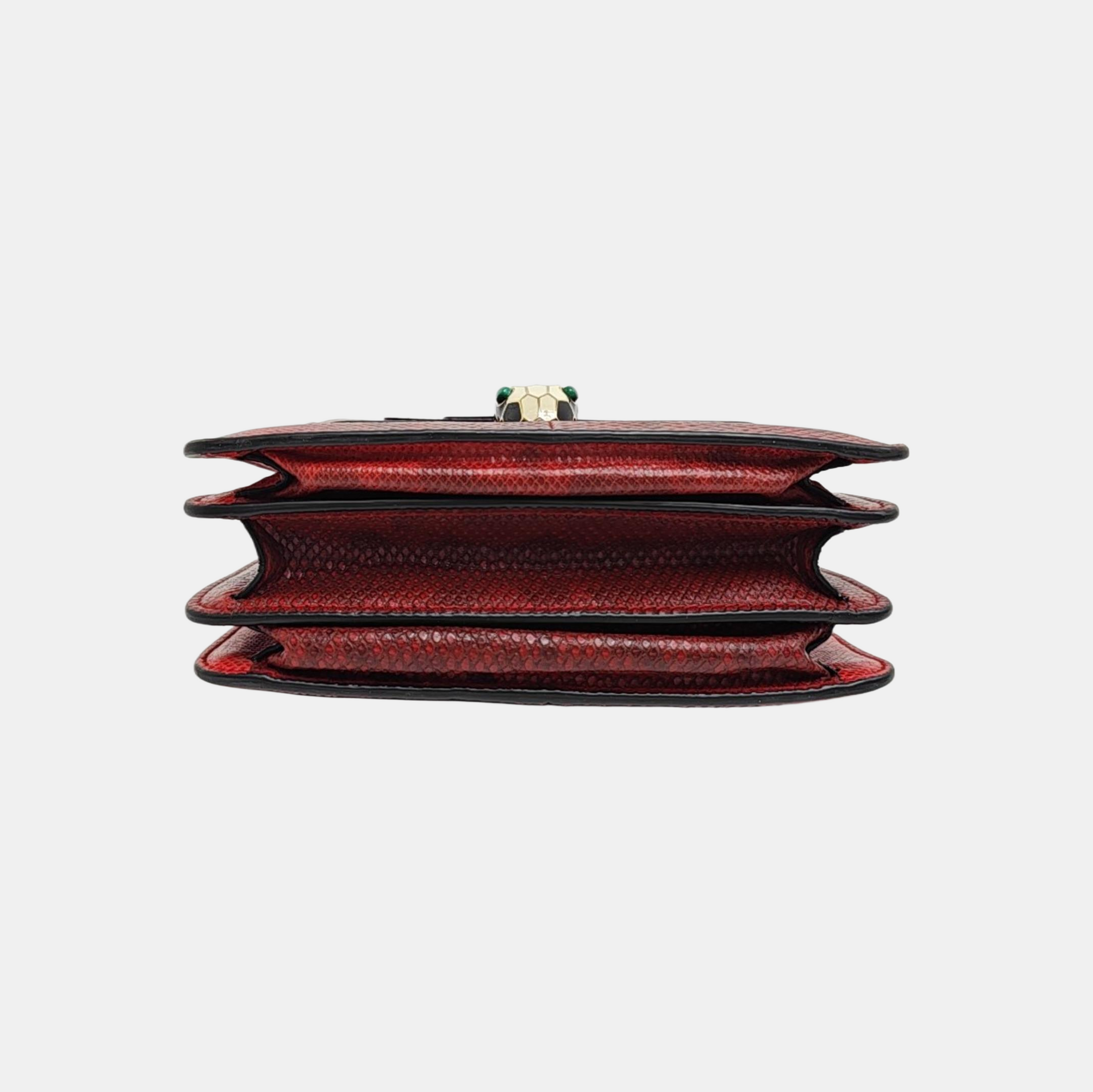 SERPENTI FOREVER Python Red